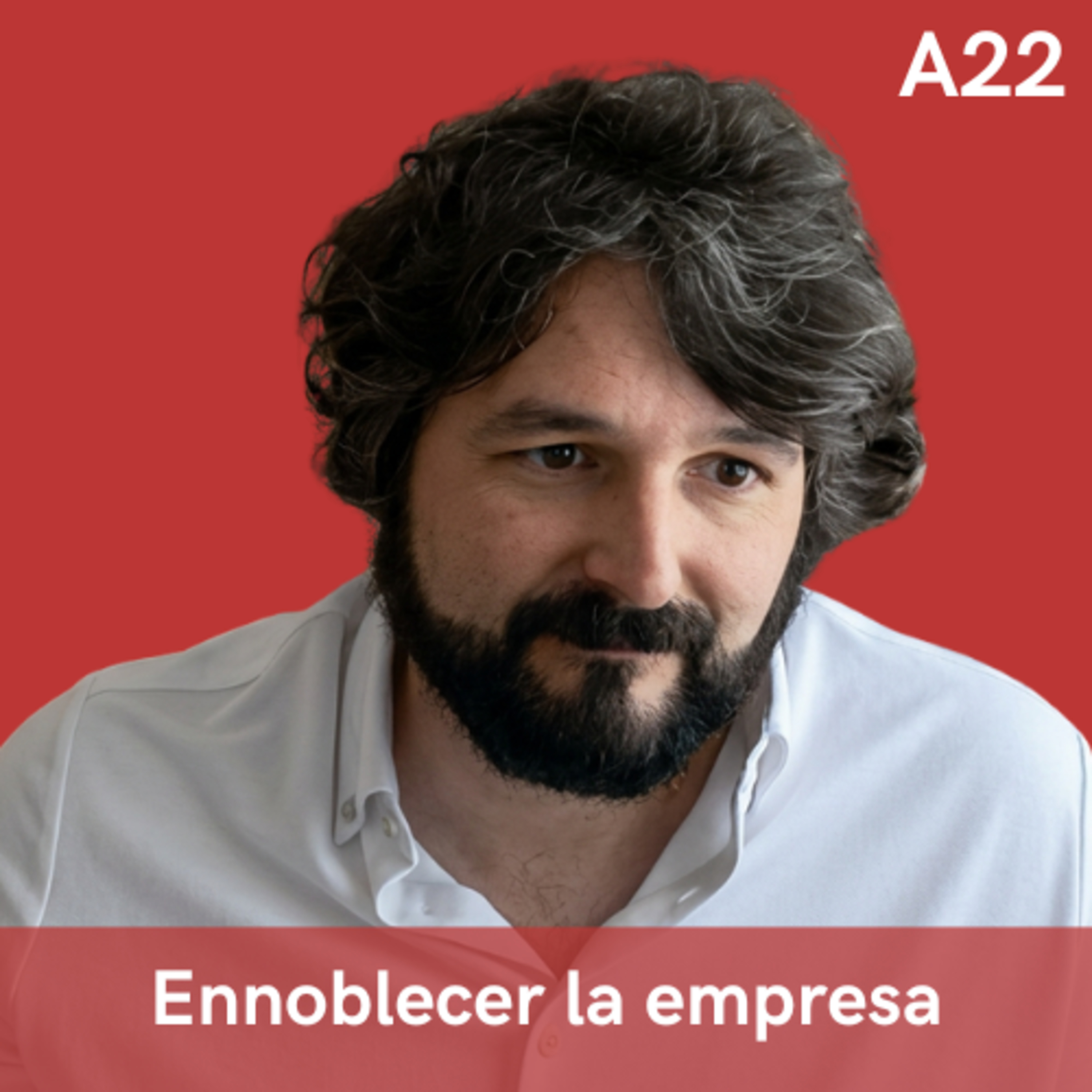 A22. Ennoblecer la empresa con las humanidades, con David Criado (Vorpalina) episode artwork