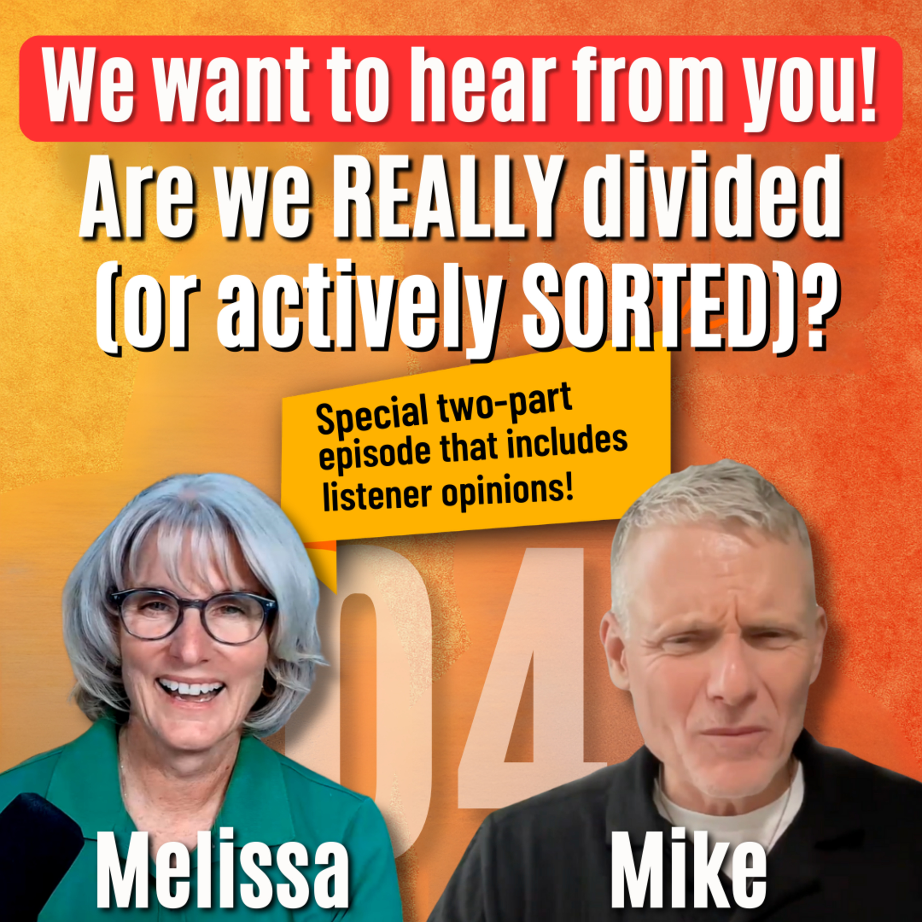 04 | We want to hear from you! Are we REALLY divided (or actively SORTED)? episode artwork