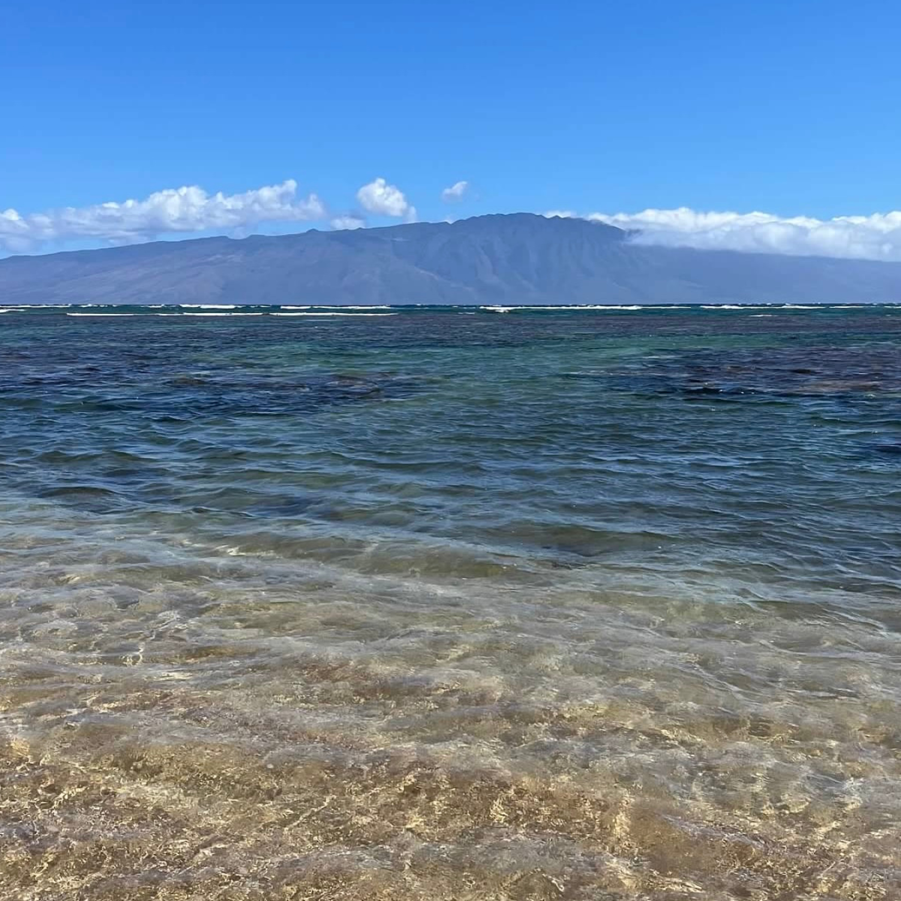 Lovely Lanai, Hawaii episode artwork
