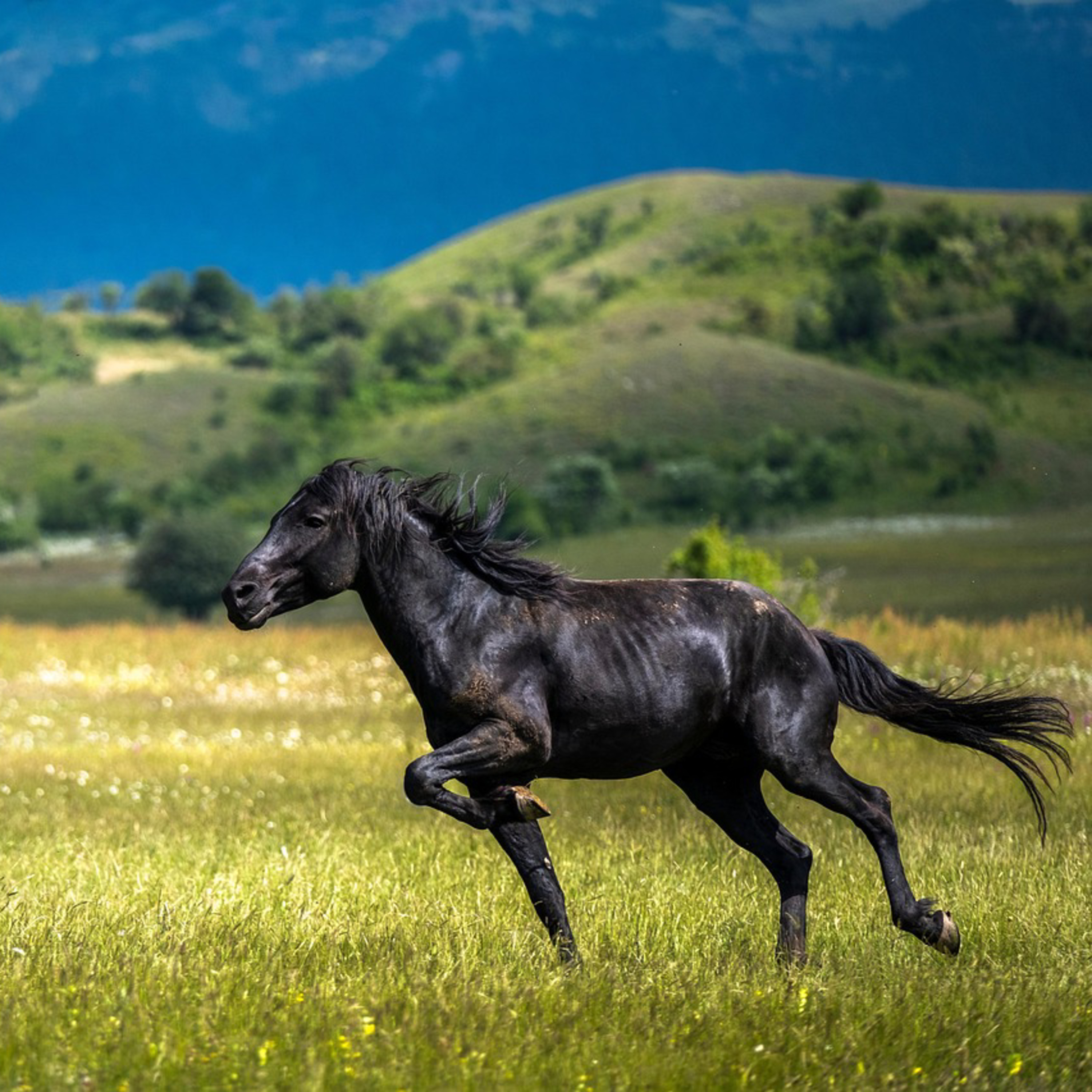 Magical LIVE Year of the Fire Horse Meditation Experience episode artwork