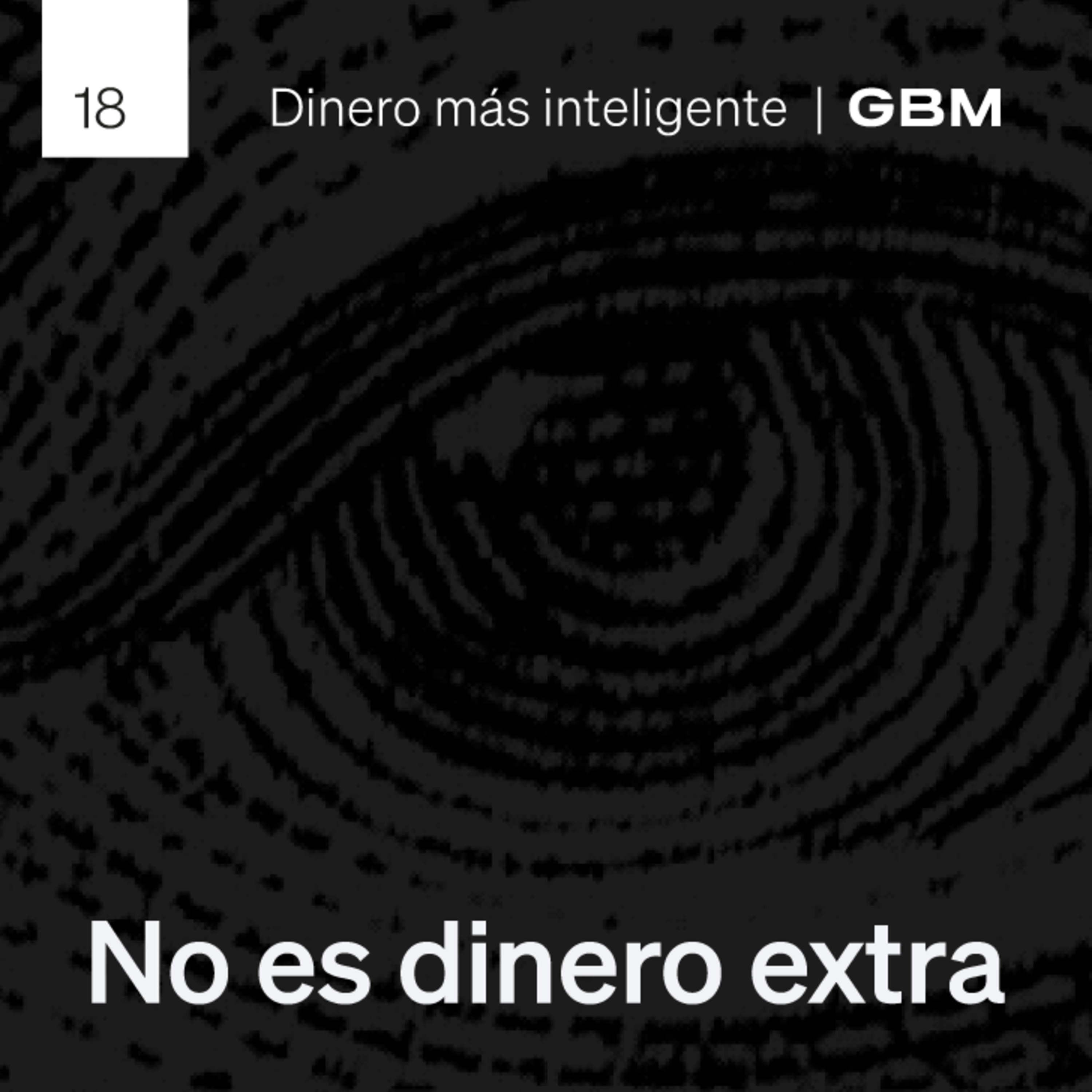18. Dividendos: ¿Ingreso seguro o ilusión financiera? episode artwork