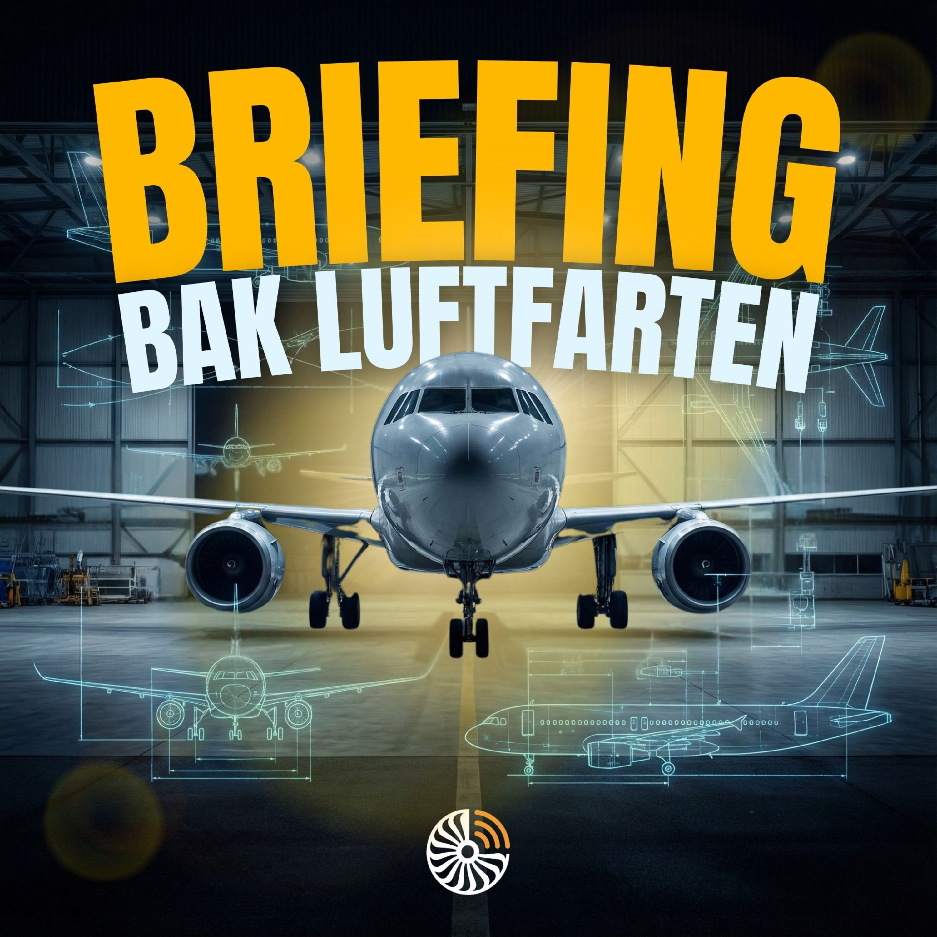 Flyskrekk – Fornuft og følelser i 36.000 fot episode artwork