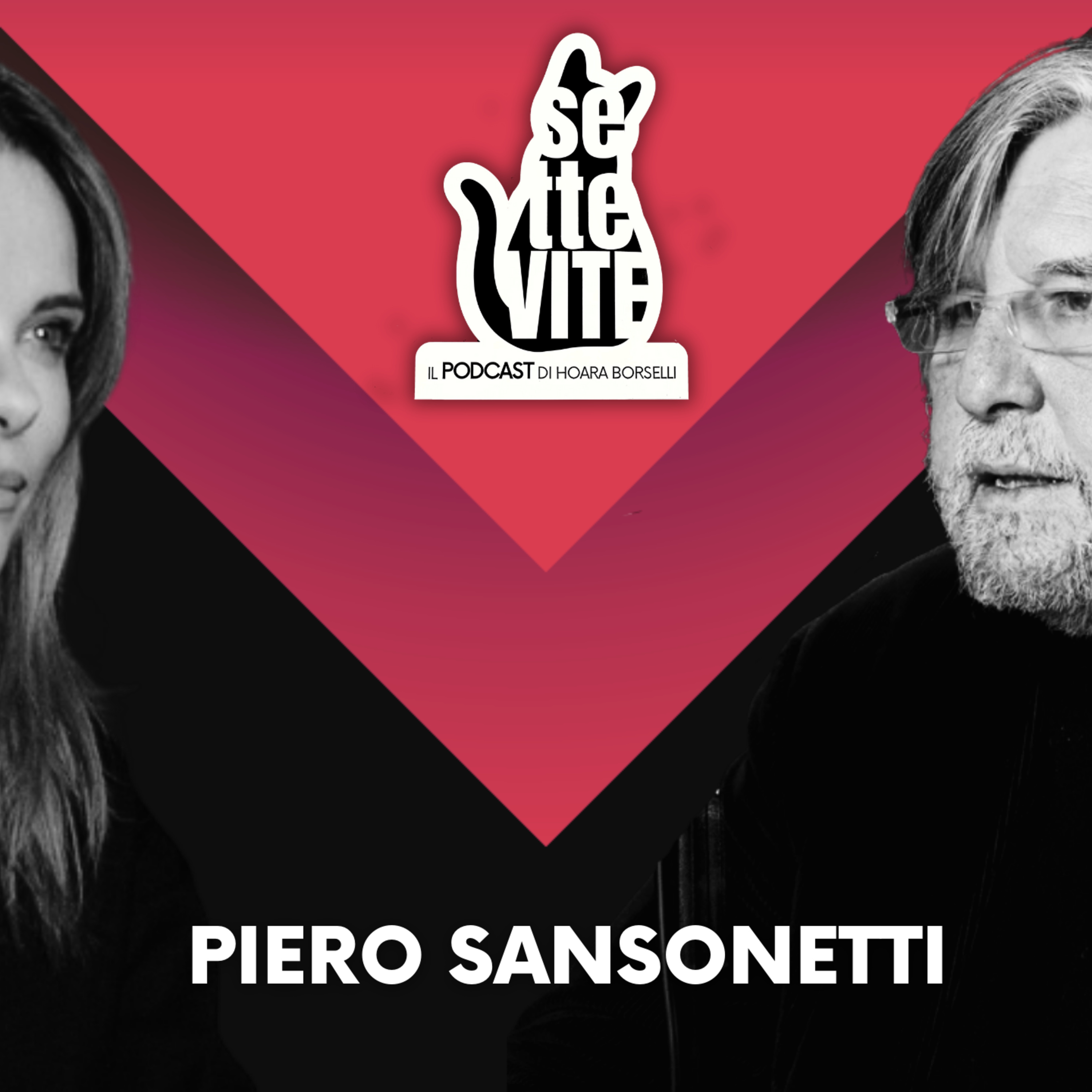 PIERO SANSONETTI: “Difendo il DIRITTO, non le persone. Anche BERLUSCONI meritava giustizia”