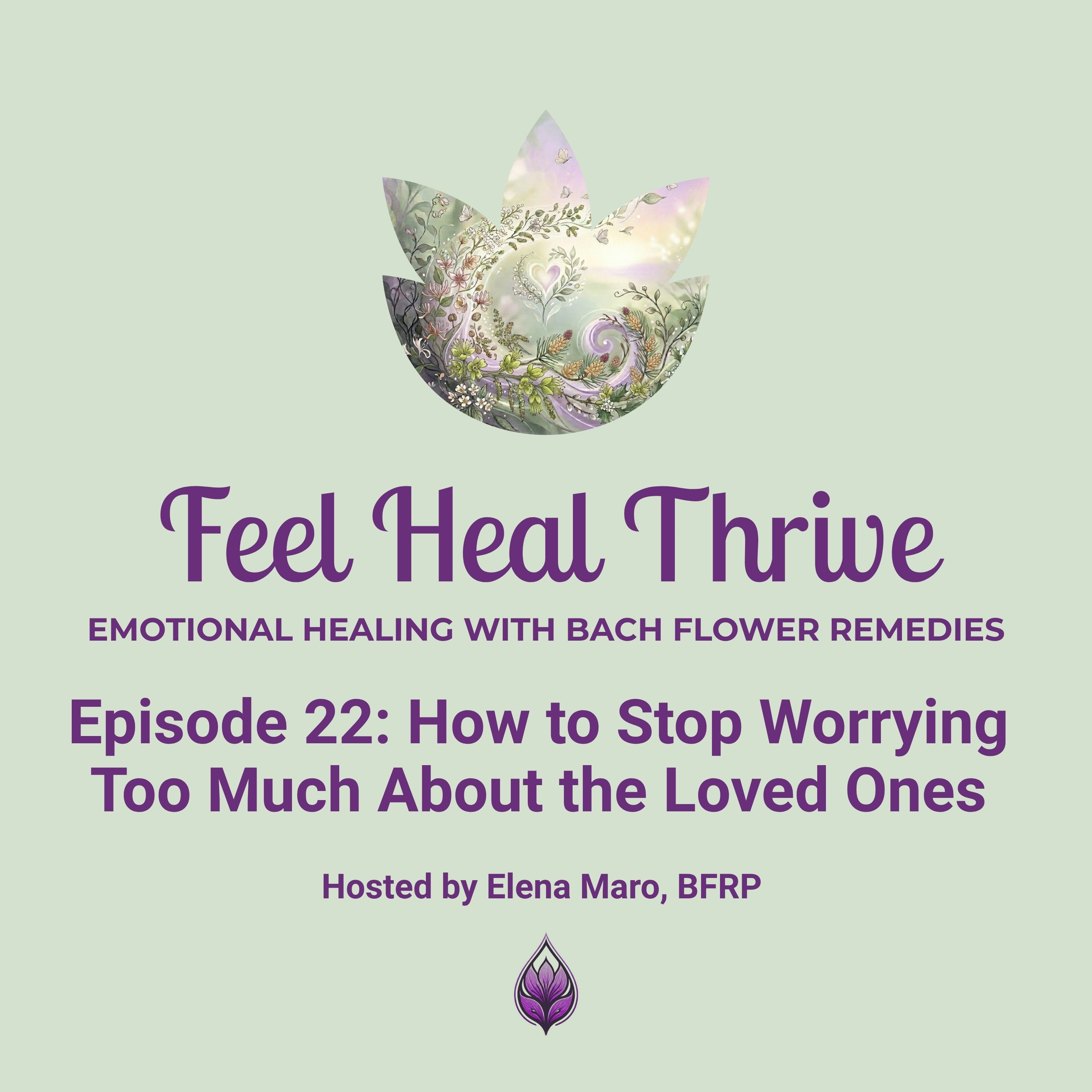 How to Stop Worrying Too Much About the loved ones  episode artwork
