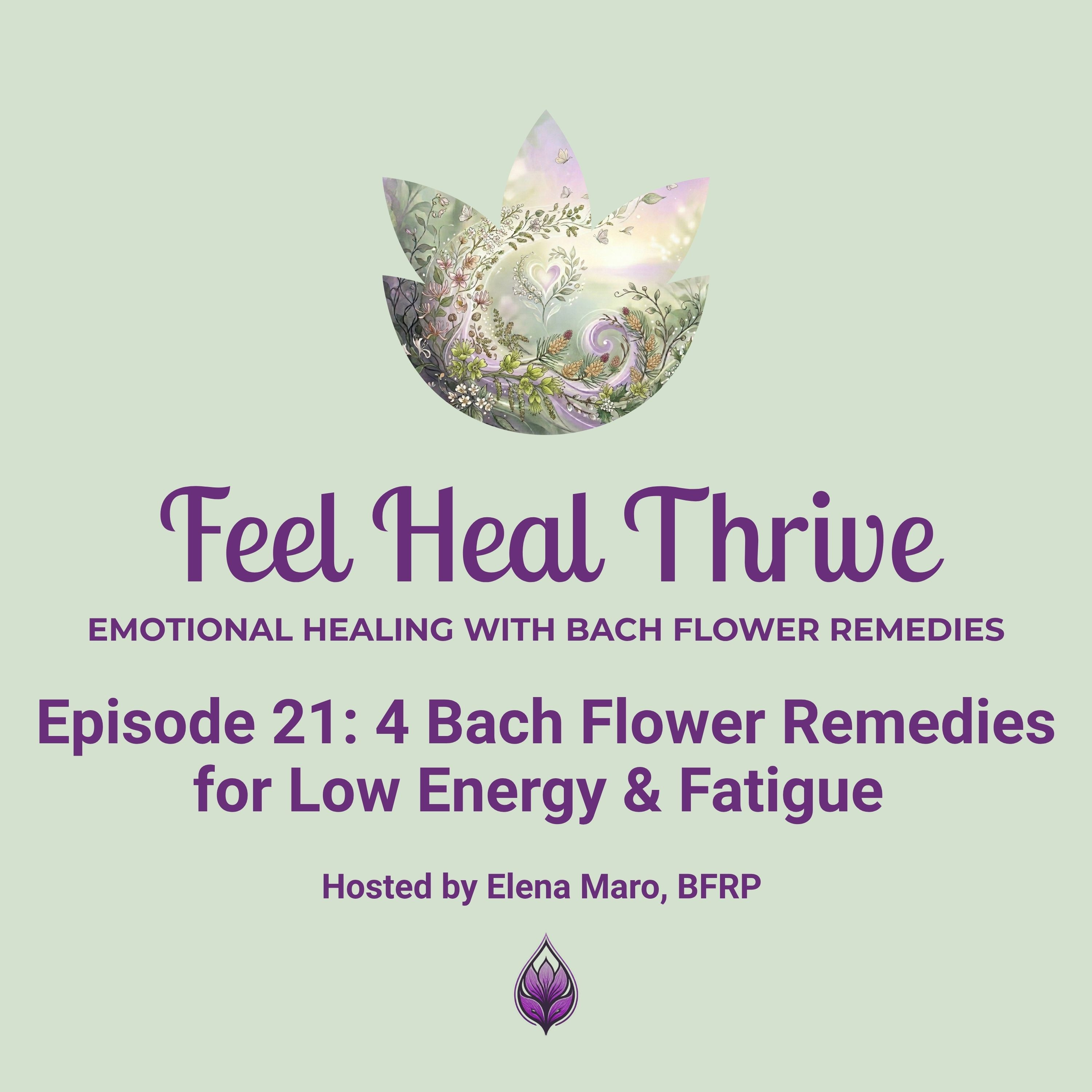 4 Bach Flower Remedies for Low Energy & Fatigue  episode artwork