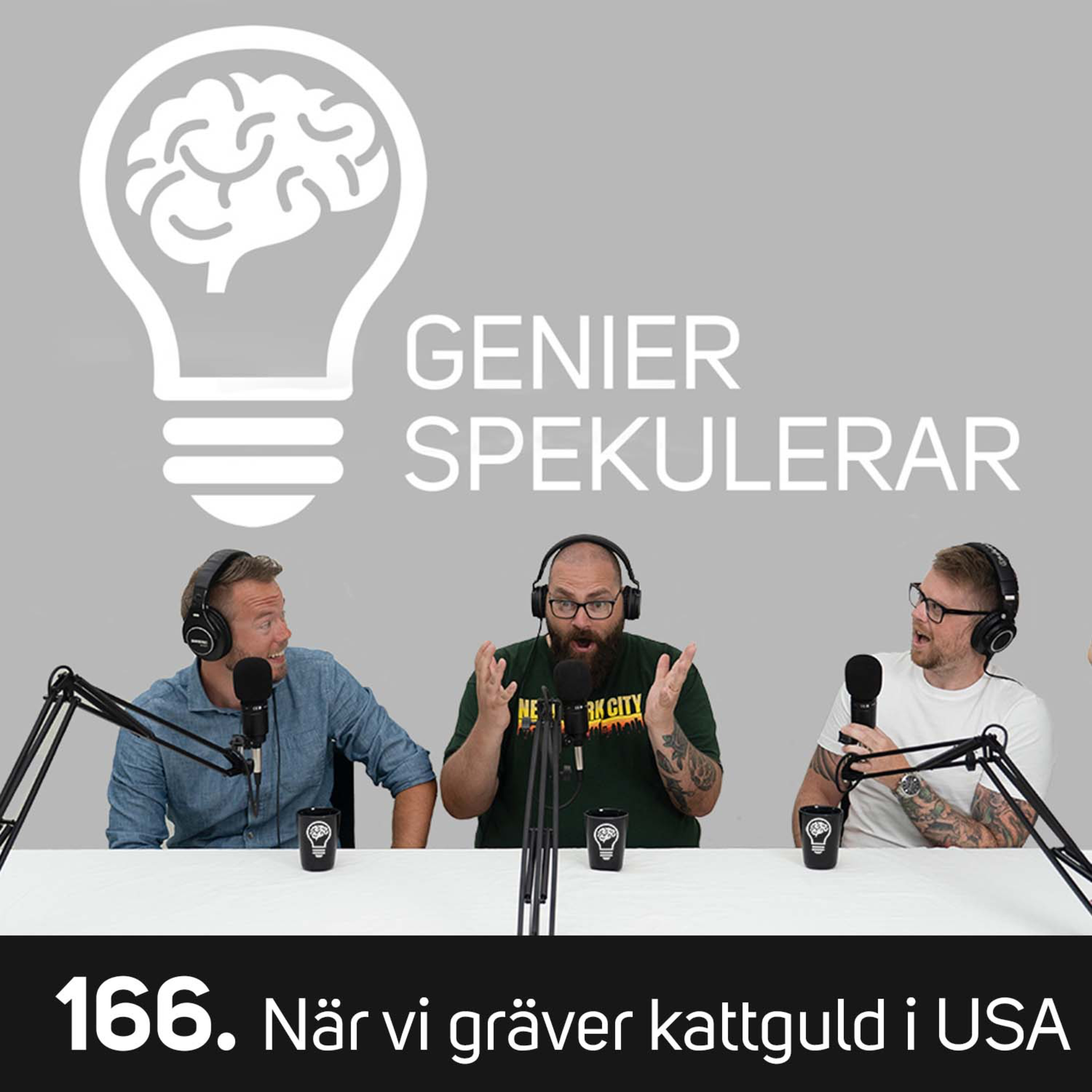166. När vi gräver kattguld i USA episode artwork