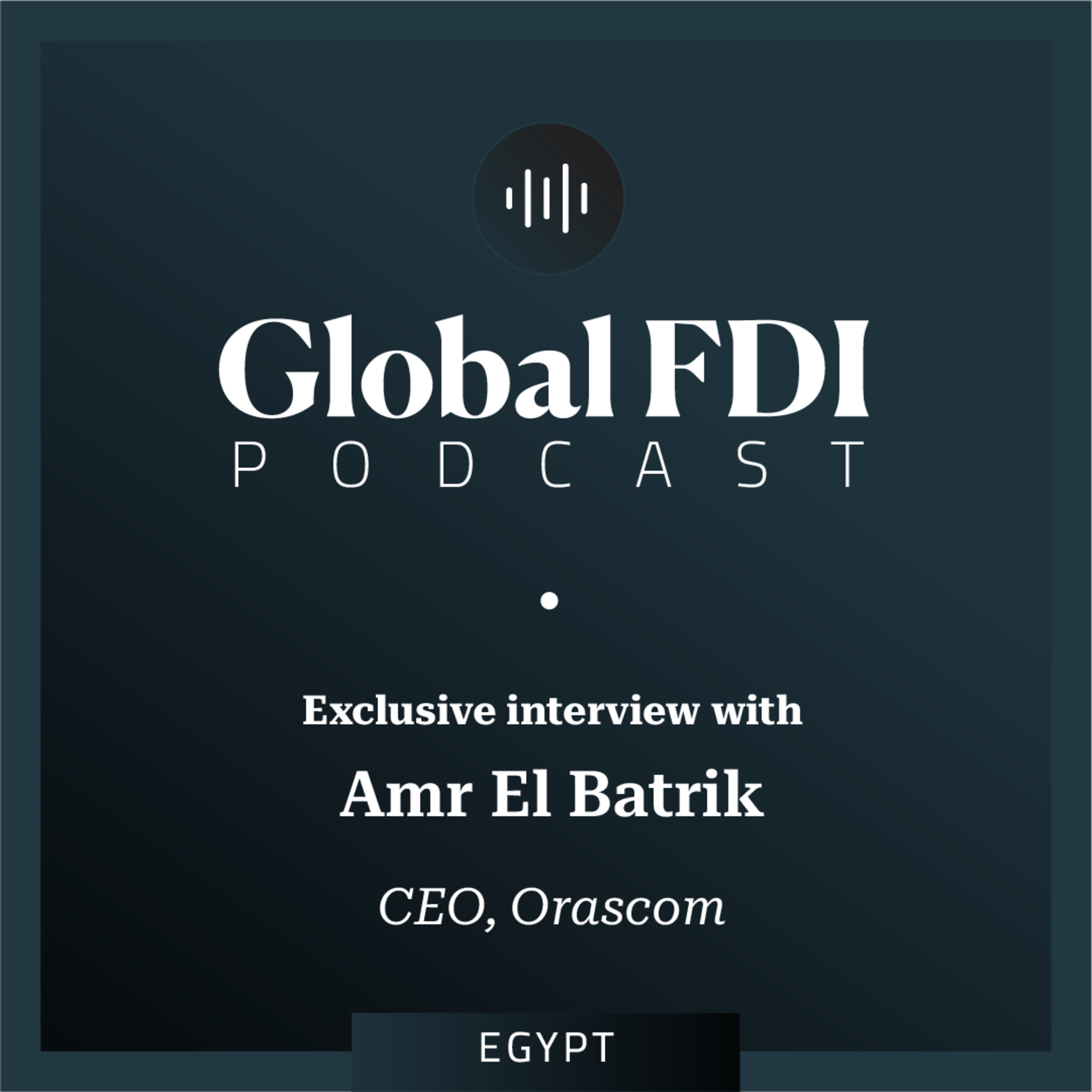 Egypt: Interview with Amr El Batrik, CEO, Orascom Industrial Parks (Orascom IP) episode artwork