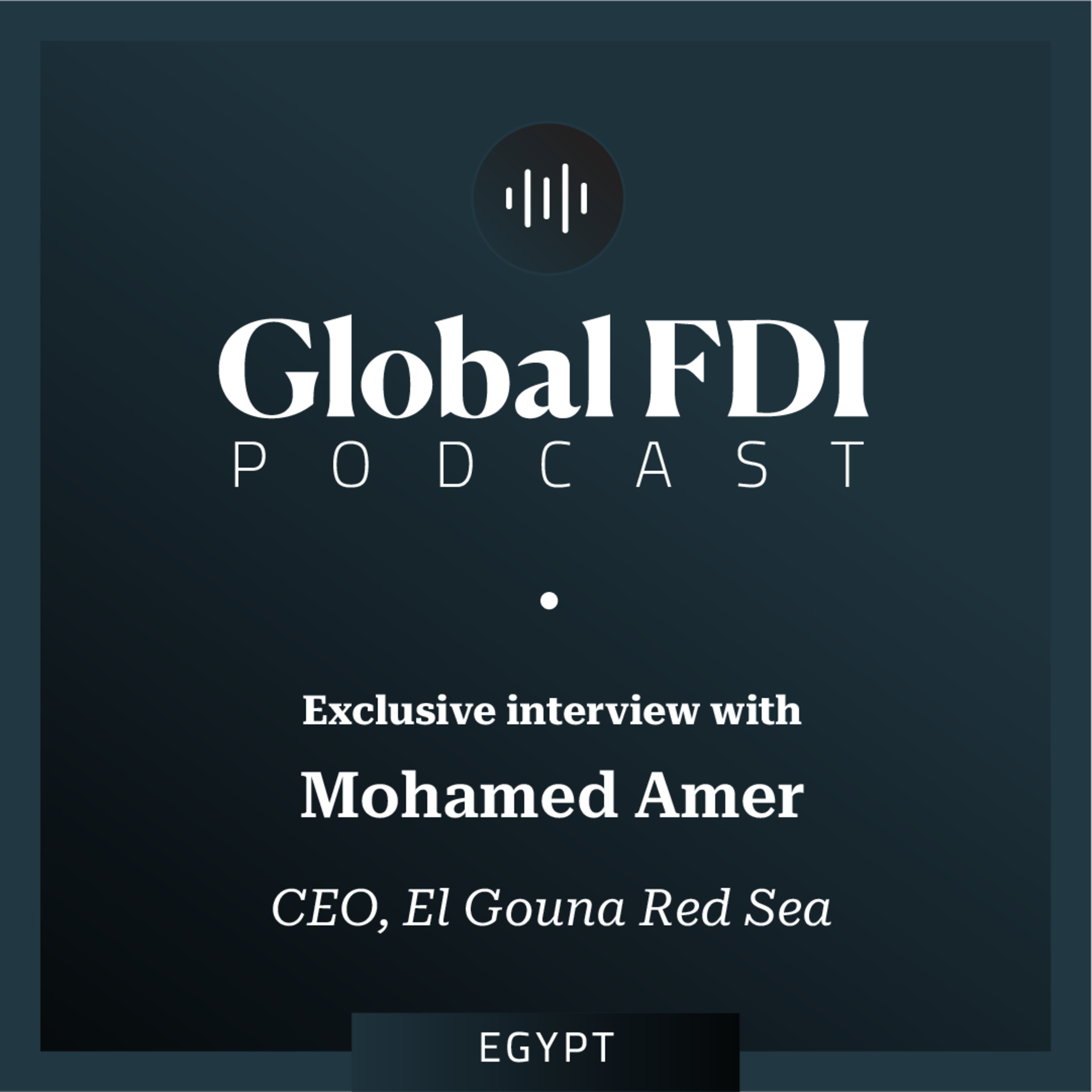 Egypt: Interview with Mohamed Amer, CEO, El Gouna Red Sea episode artwork