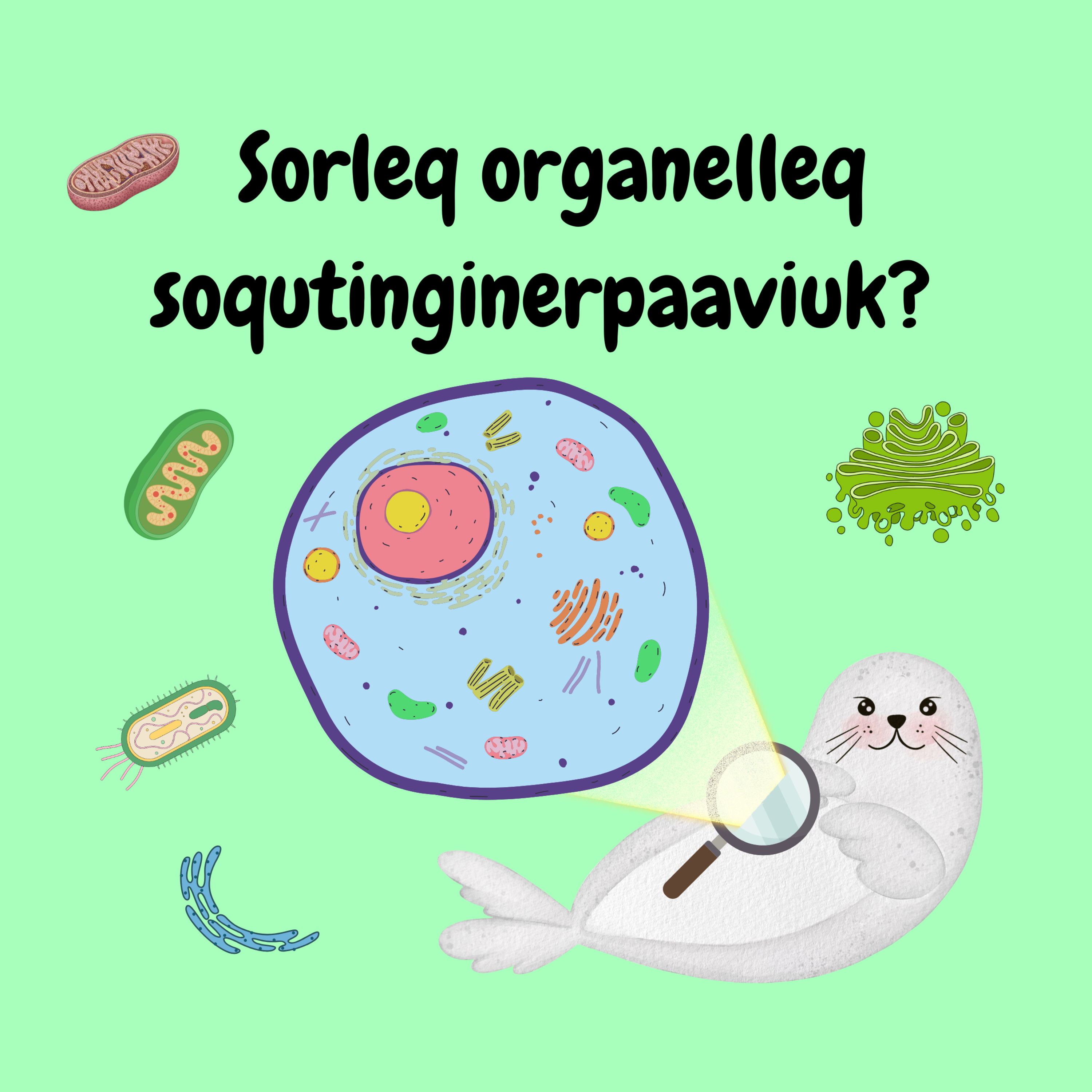 Celle sunaava? episode artwork