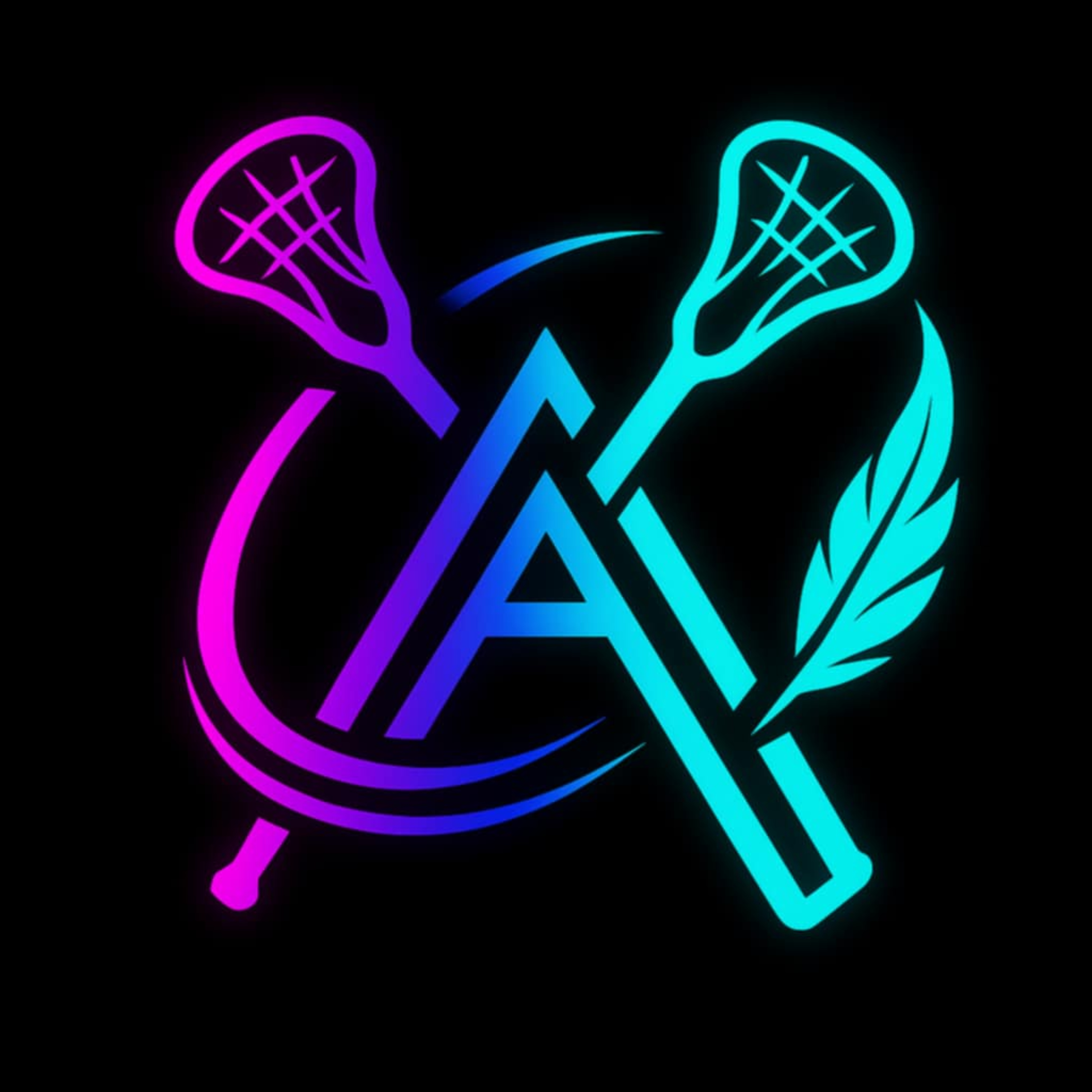The Anything LAX show