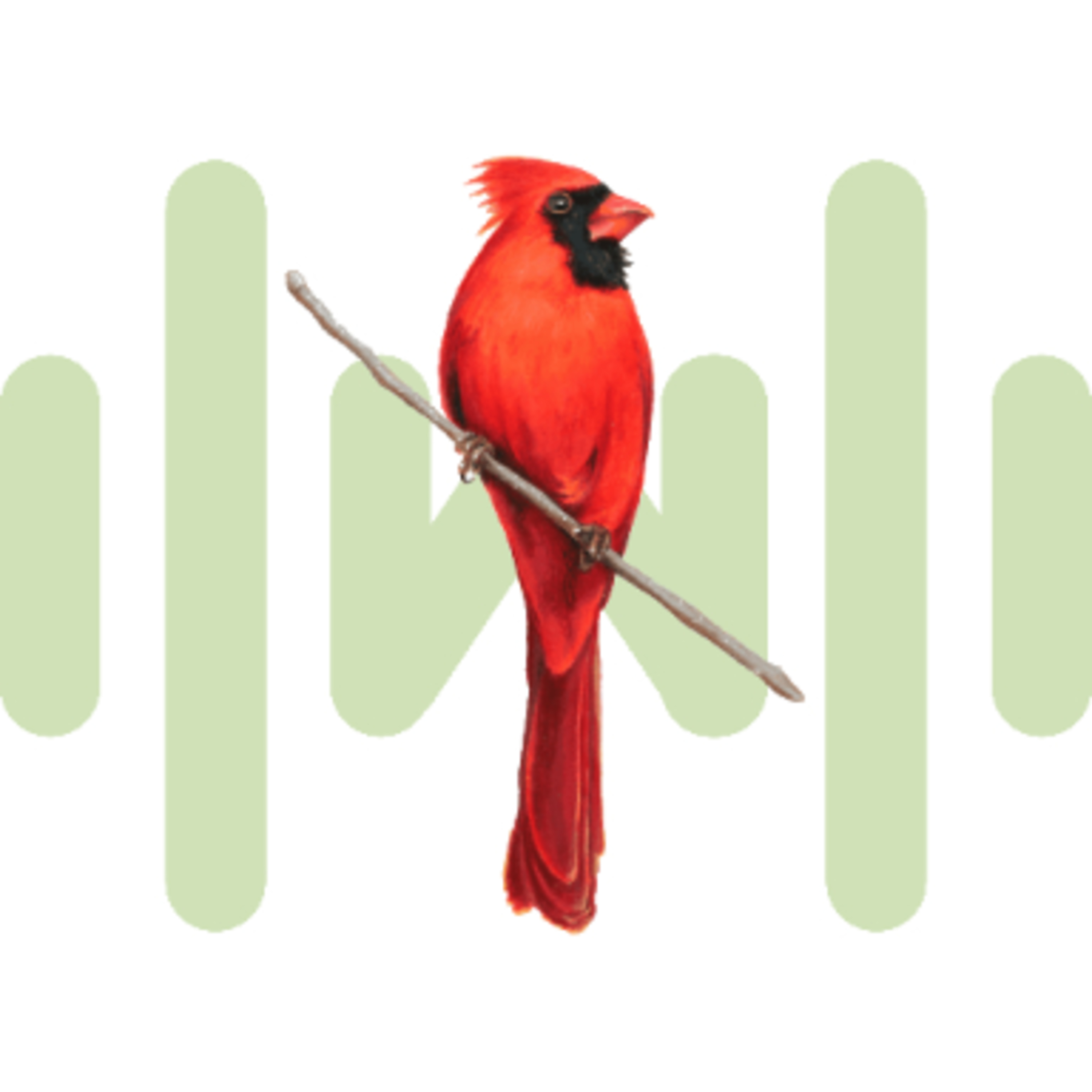 Cardinal SoundBoard - SoundBoardW.net episode artwork