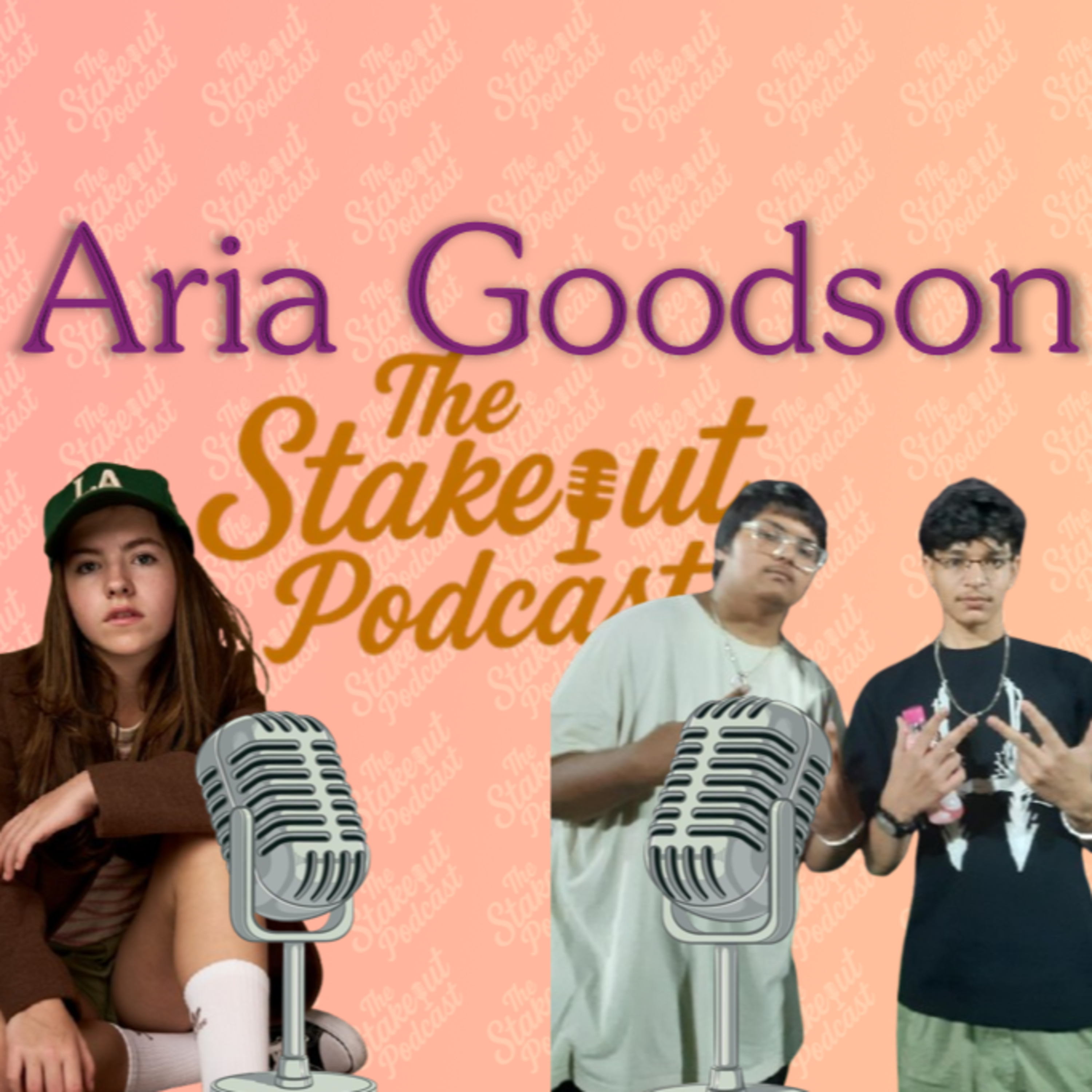 Breaking Down the Industry with Aria Goodson | The Stakeout Podcast episode artwork