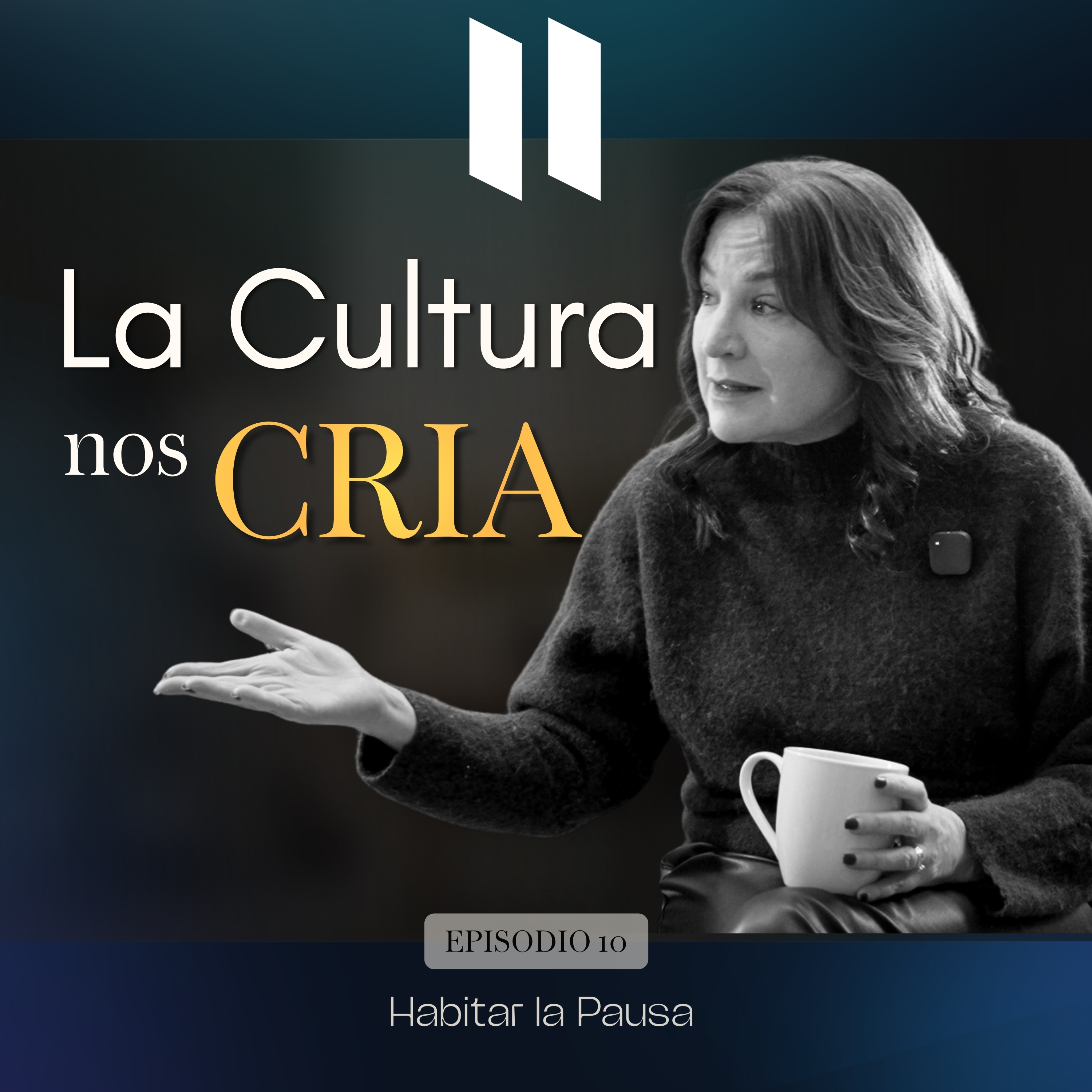 Portada de Habitar la pausa