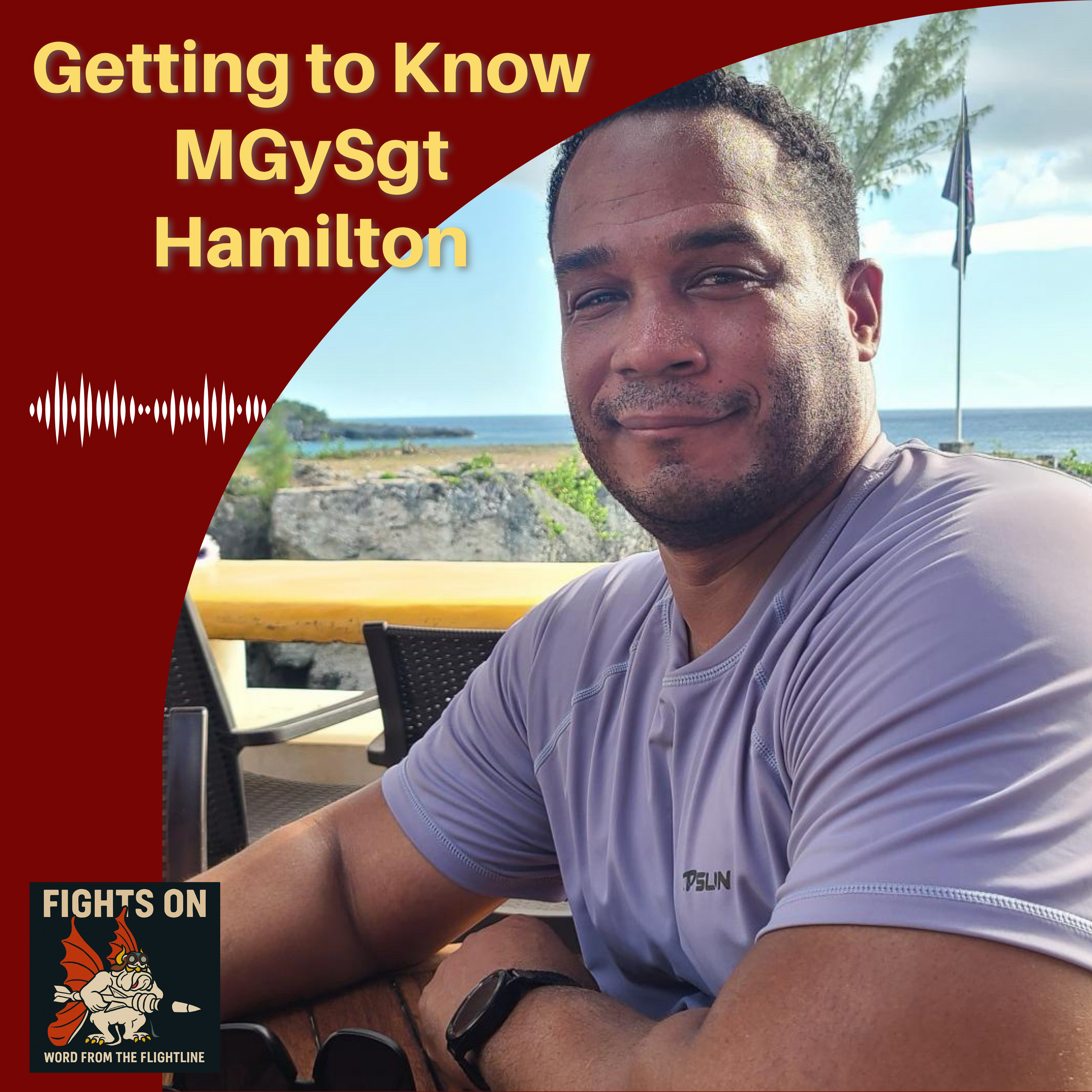 Getting To Know: MGySgt Hamilton episode artwork