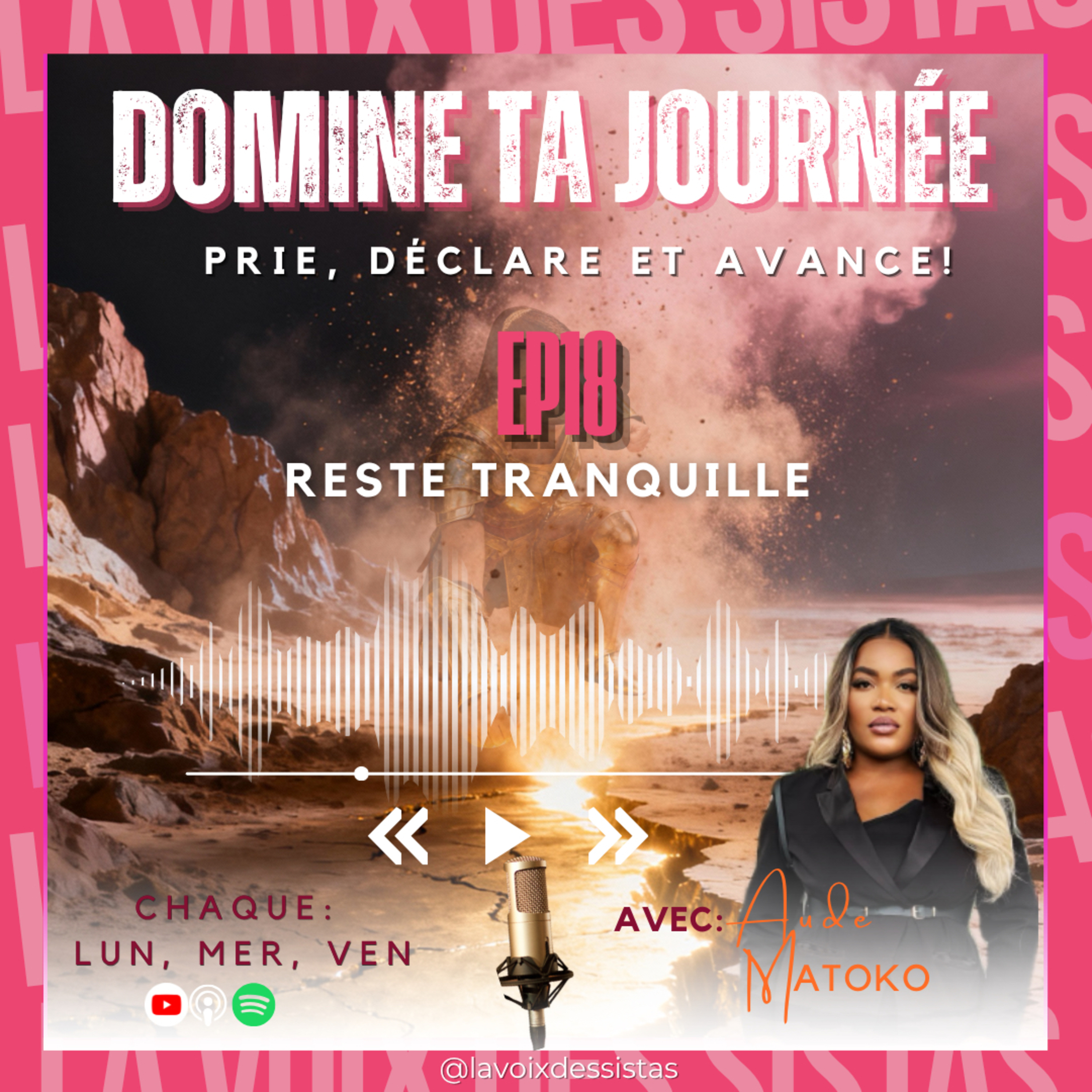 DOMINE TA JOURNÉE- Reste tranquille ✨ episode artwork