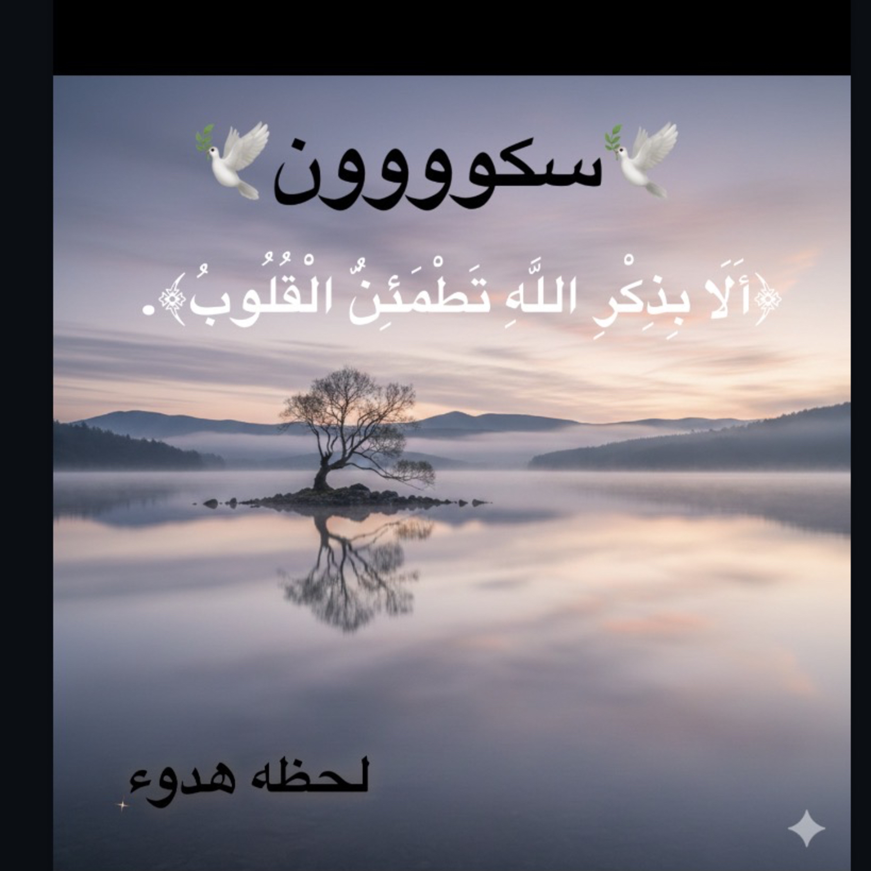 🕊️سكون🕊️