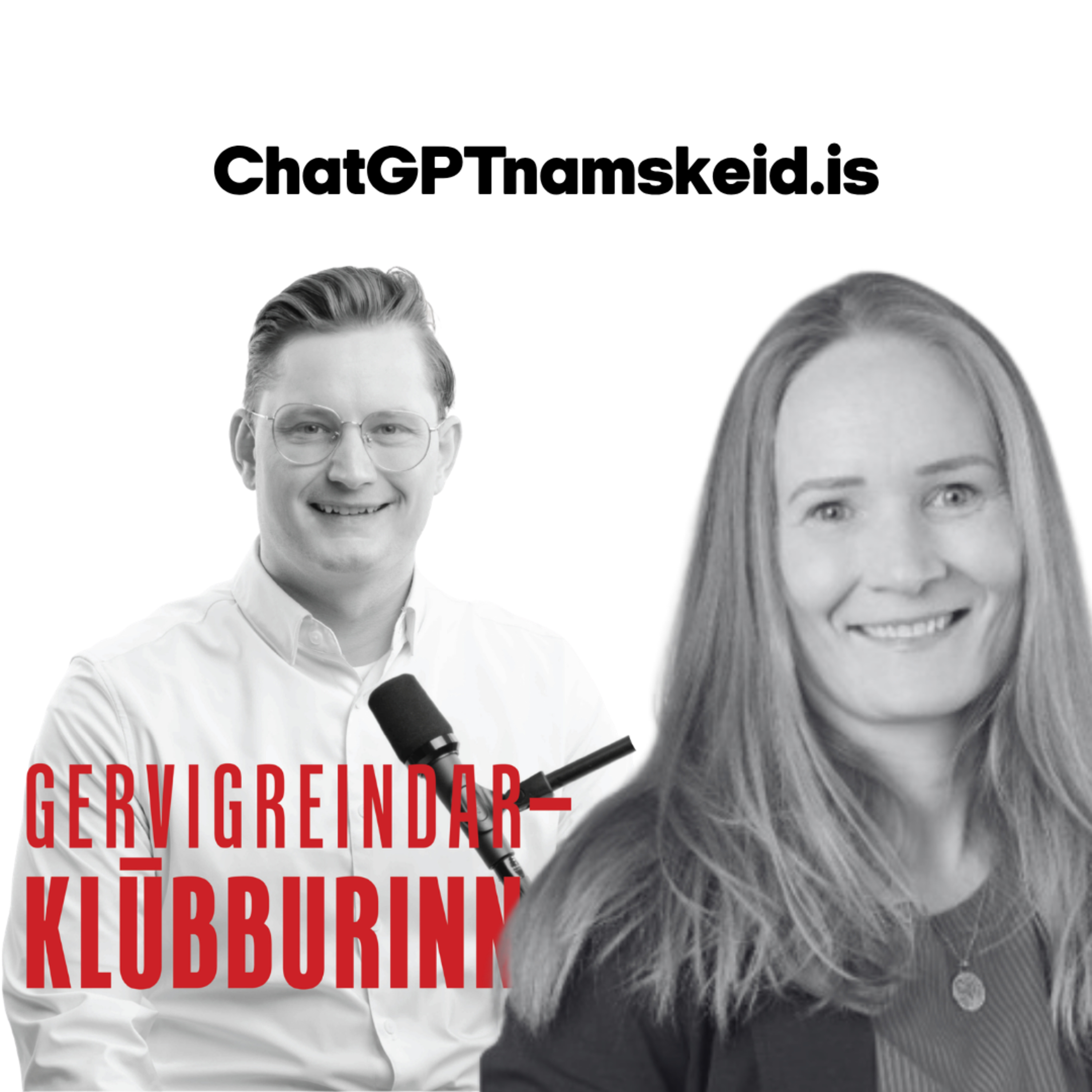 39. Gervigreind og bókhald 2 - Erla hjá Bella Books