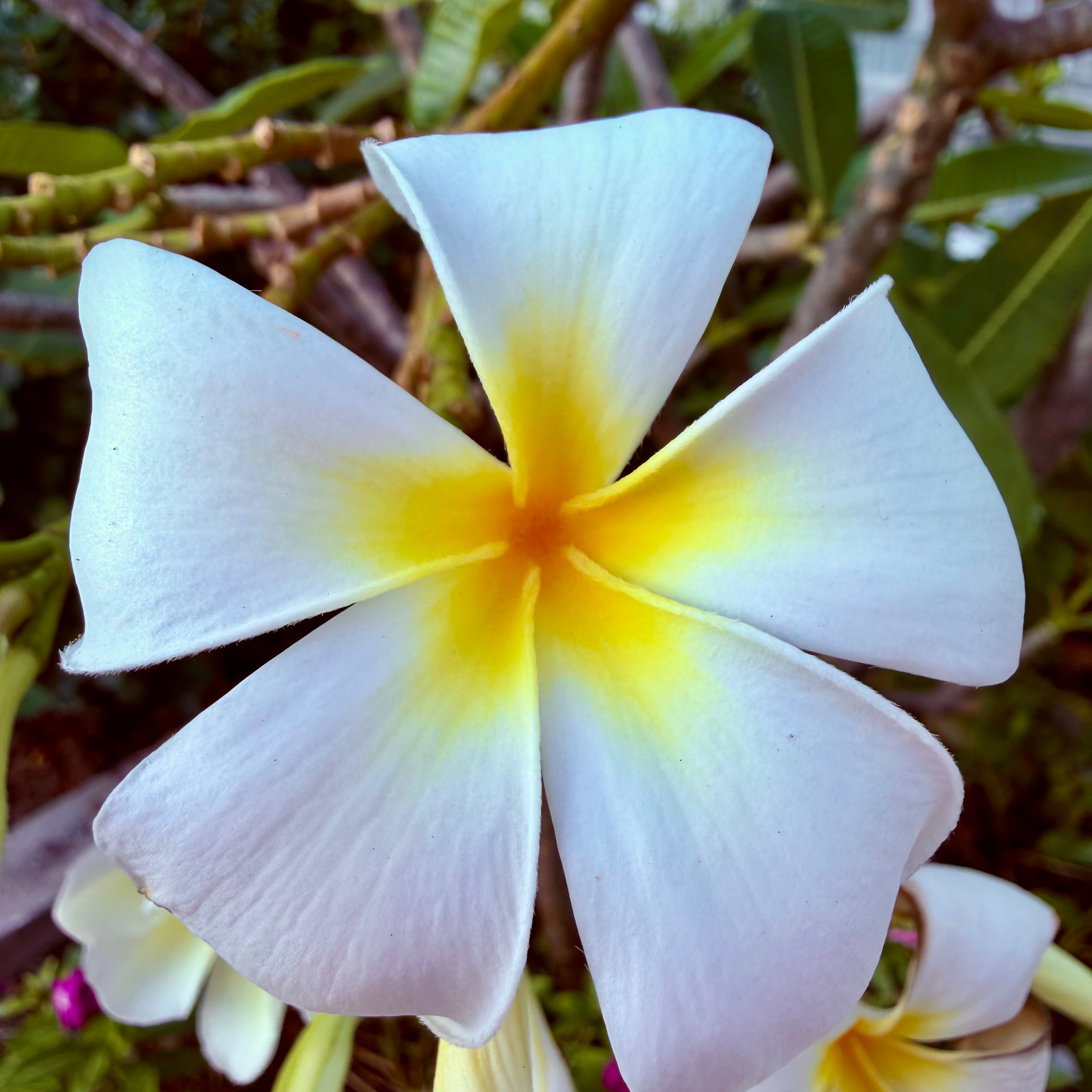 Ocean Zero – Zwischen Himmel und Erde