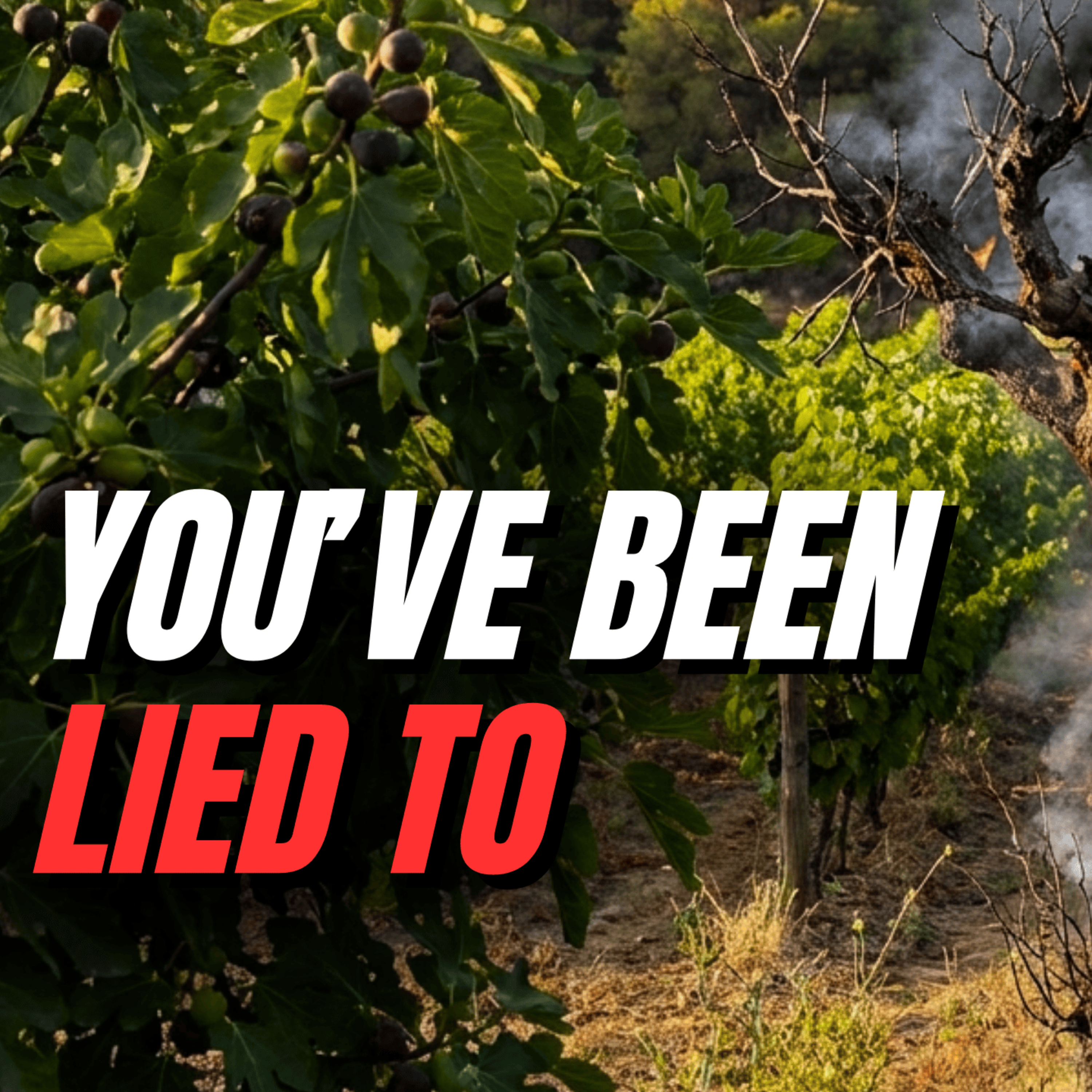 The Watchmen\'s Vigil