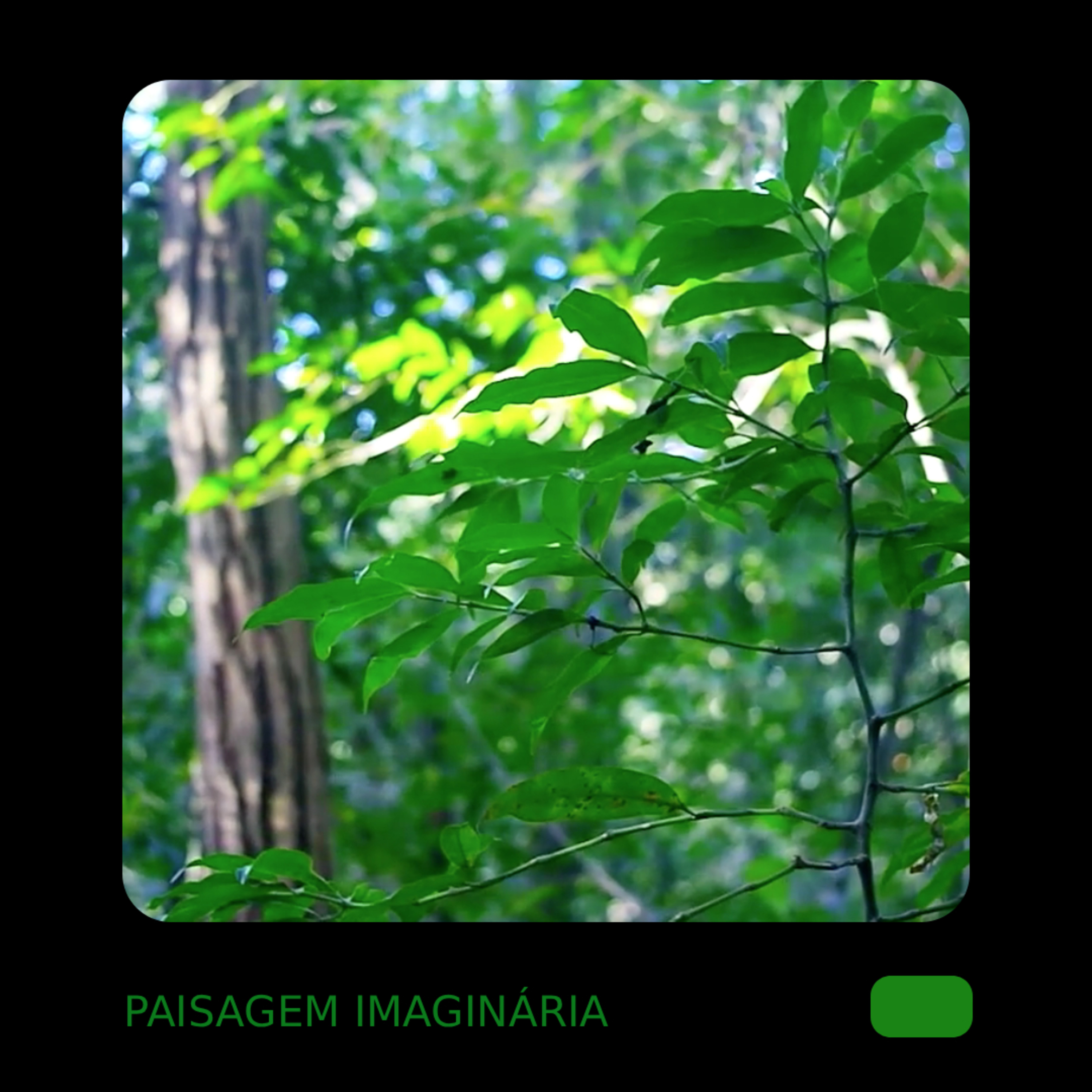 paisagem imaginária