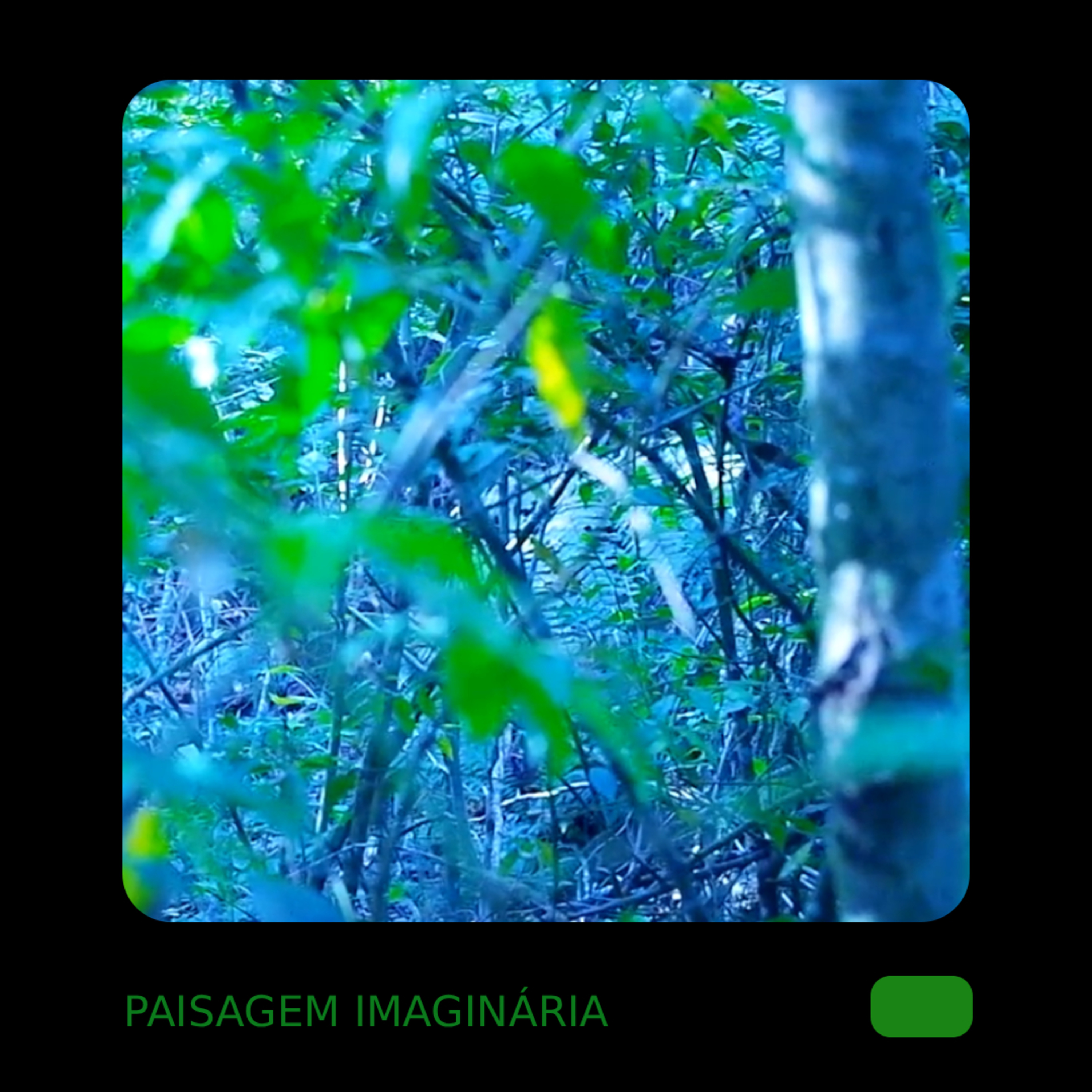 paisagem imaginária