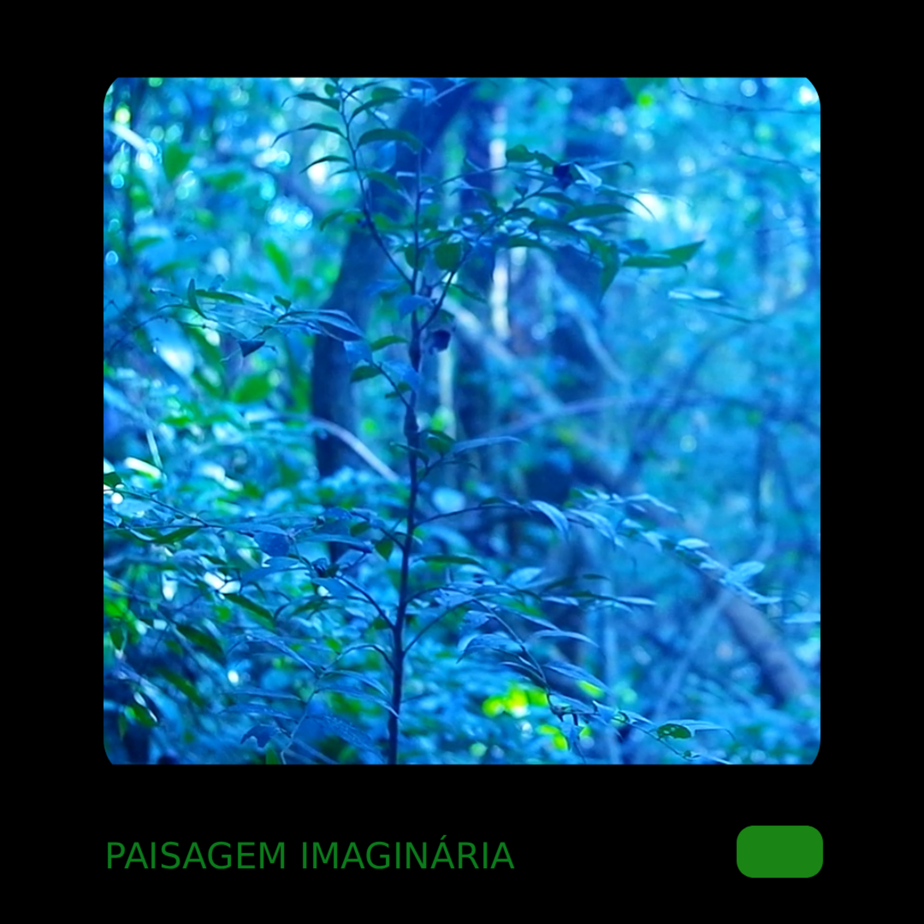 paisagem imaginária