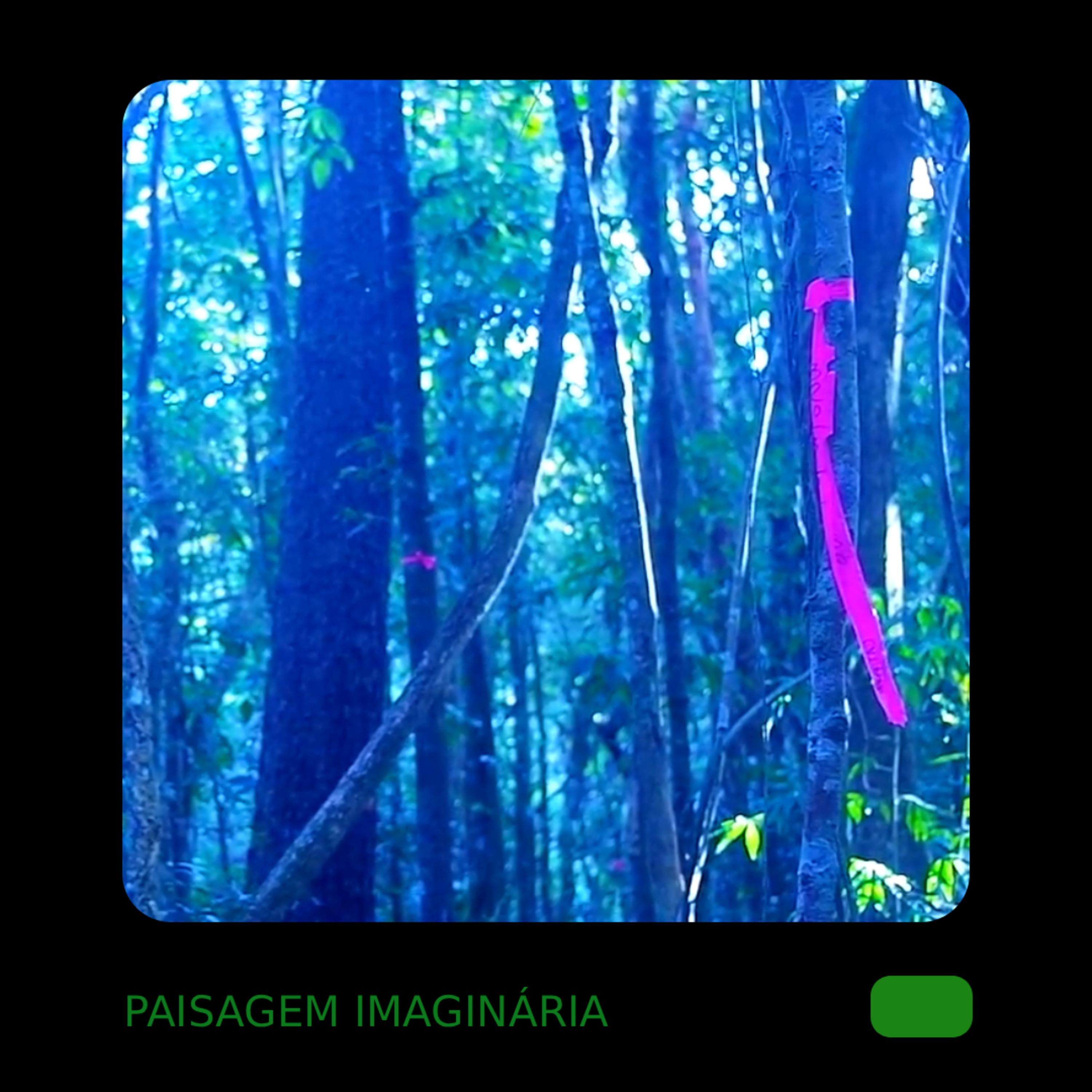 paisagem imaginária