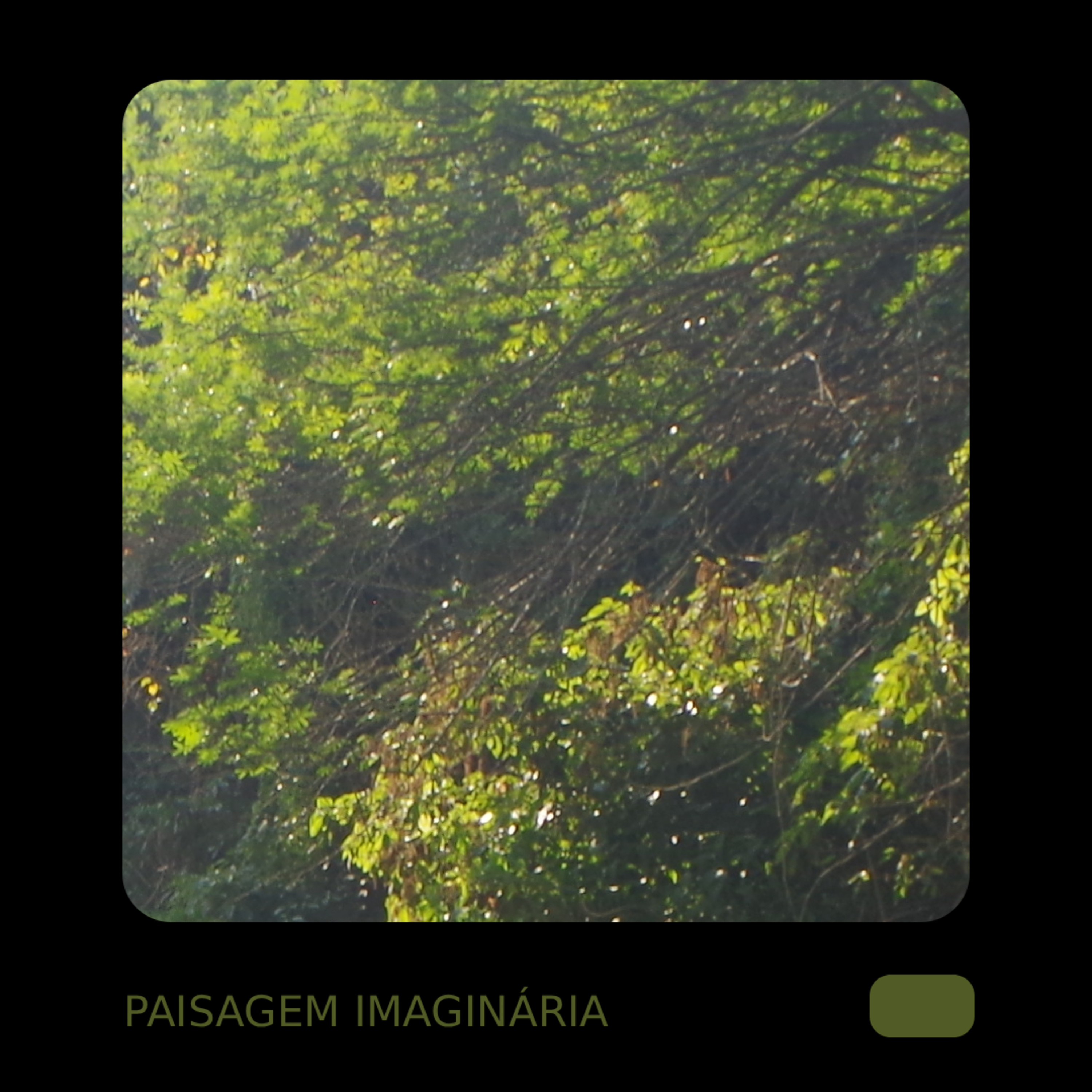 paisagem imaginária
