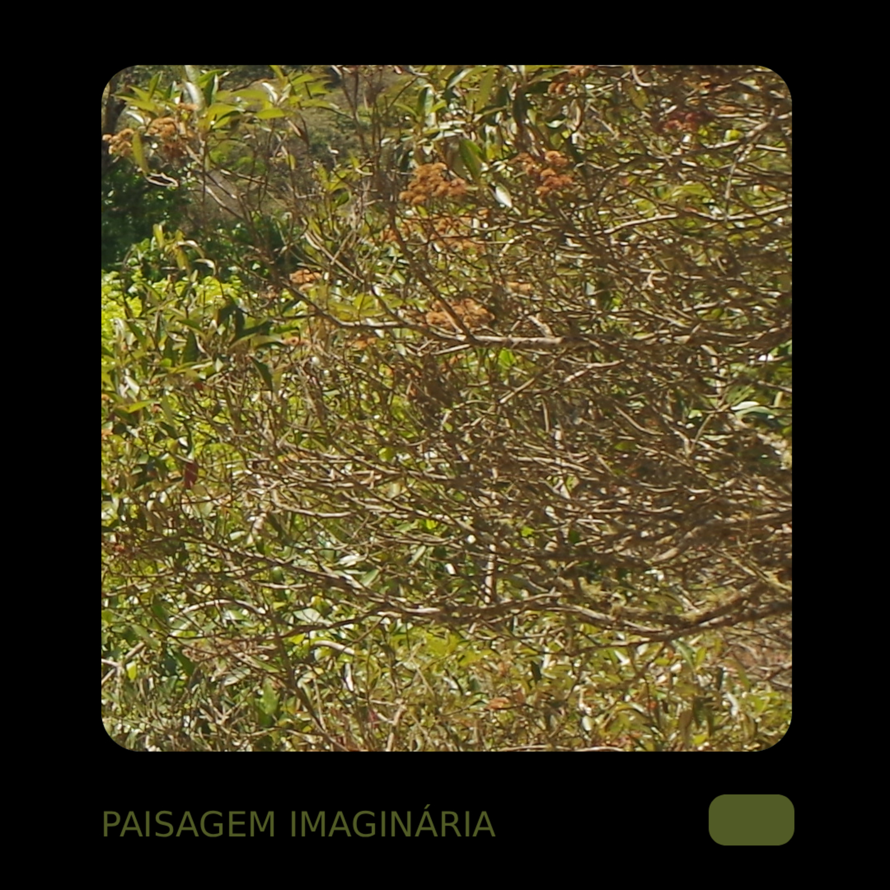 paisagem imaginária