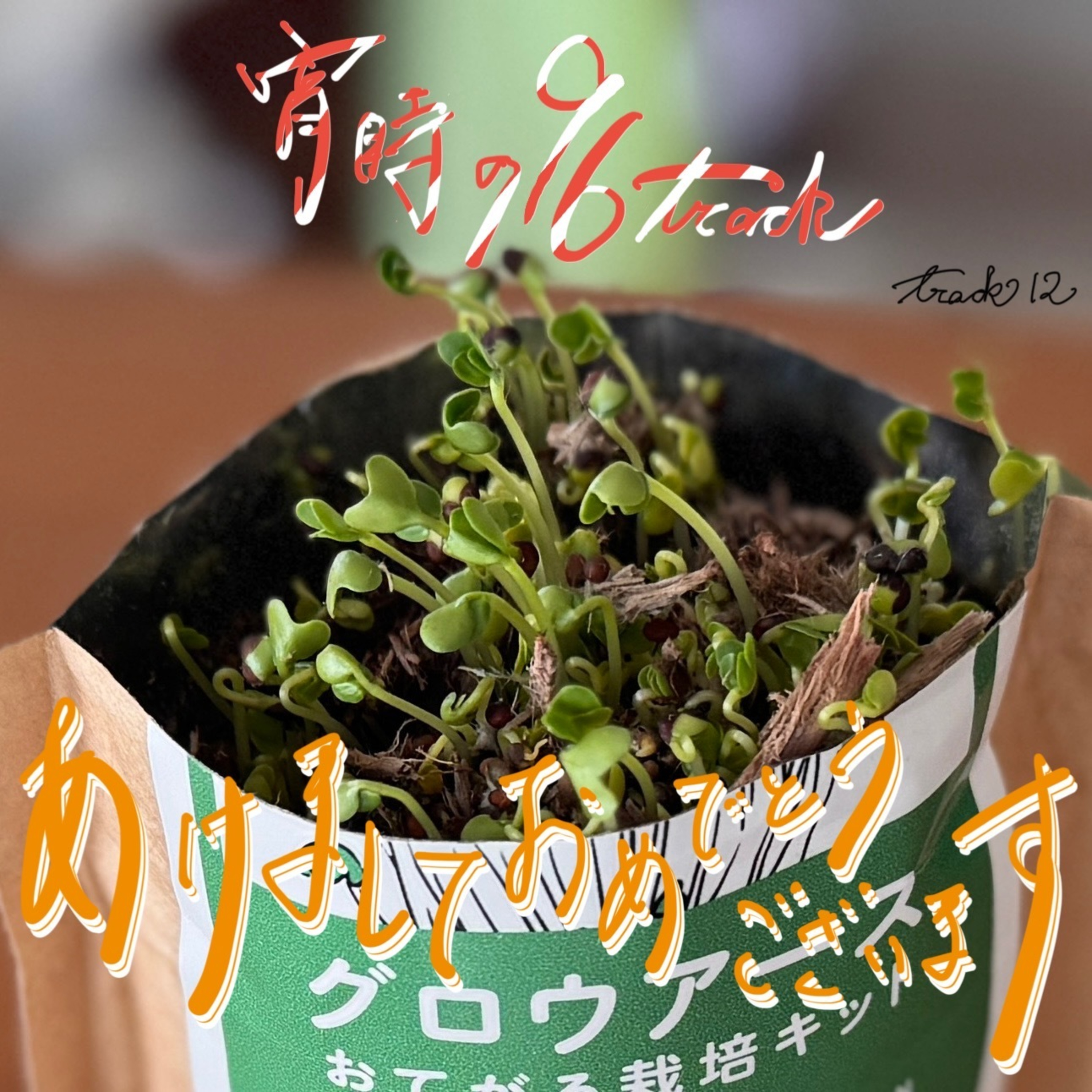 Ptrack12　26’明けましたよ！今年もどうぞヨイクロです！ episode artwork