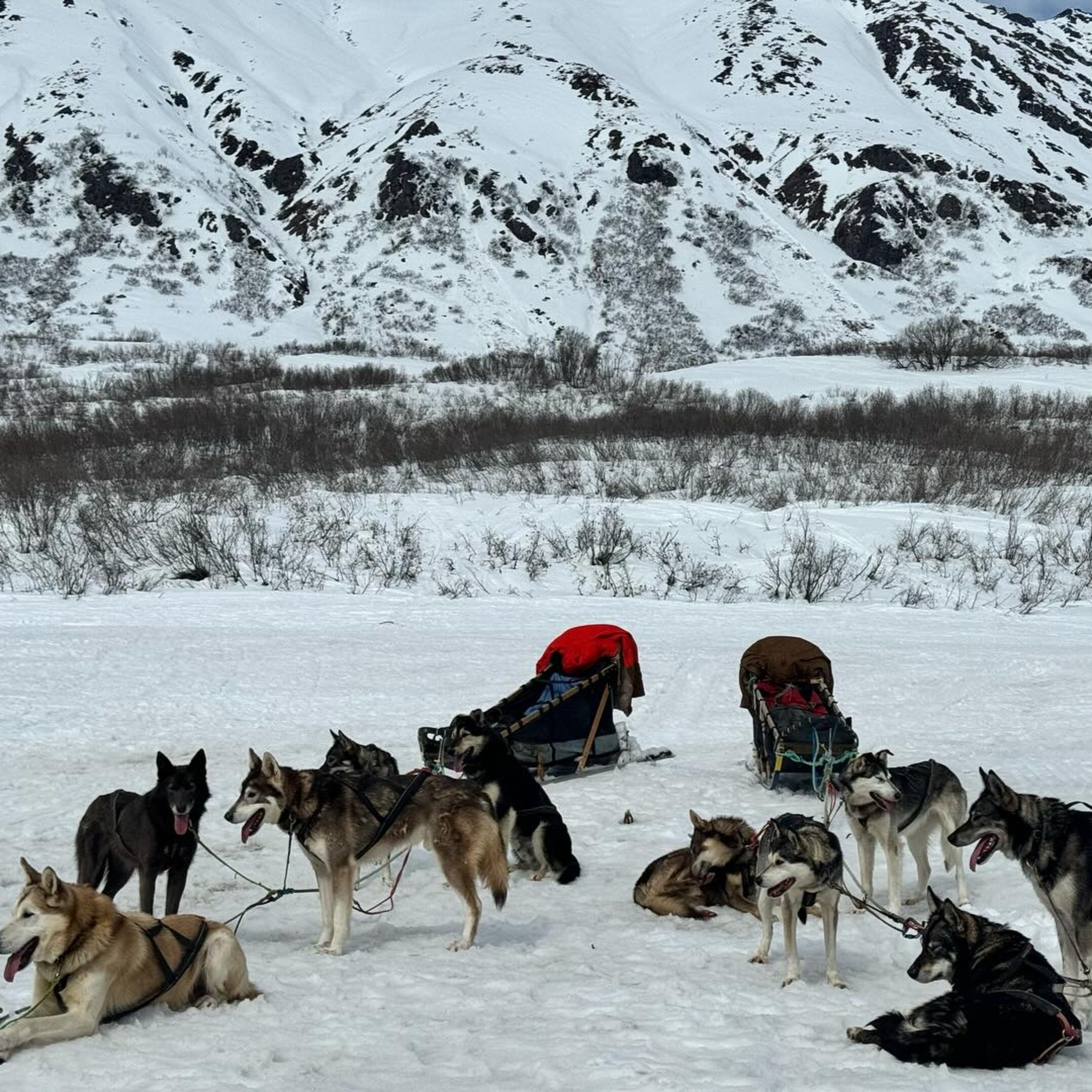 Women in Wild Places