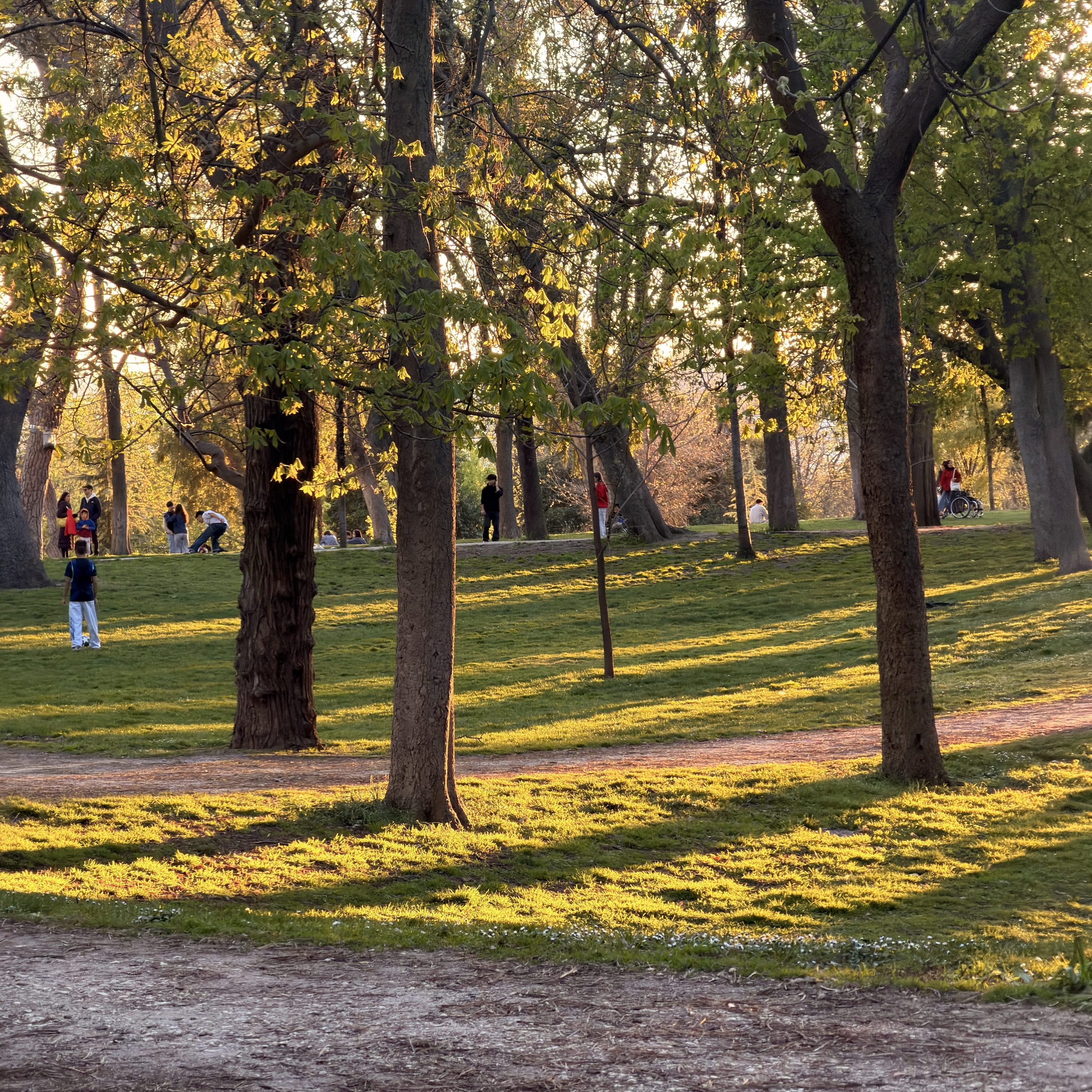 Madrid – Sunset walk to El Retiro episode artwork