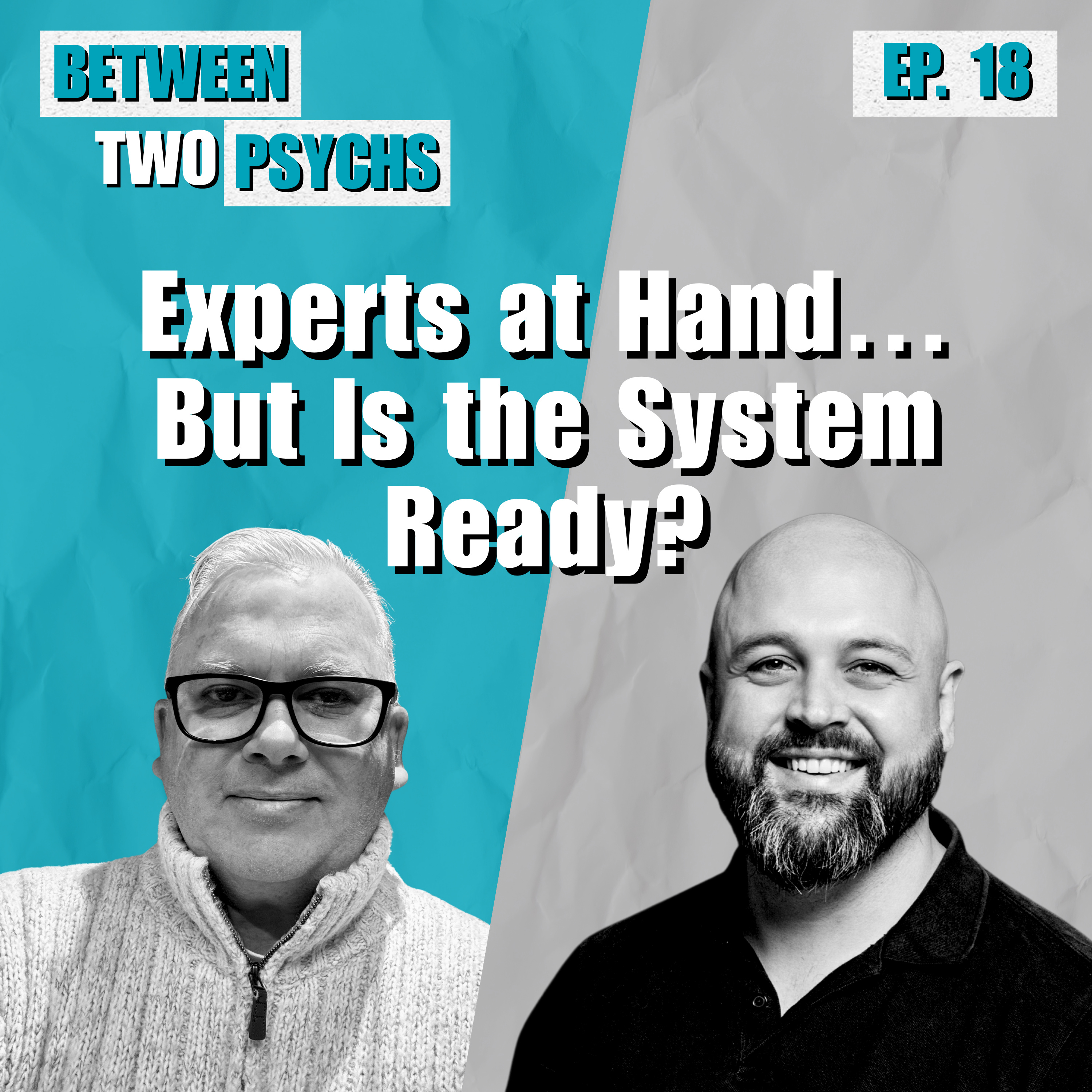 Ep. 18 - Experts at Hand… But Is the System Ready? episode artwork
