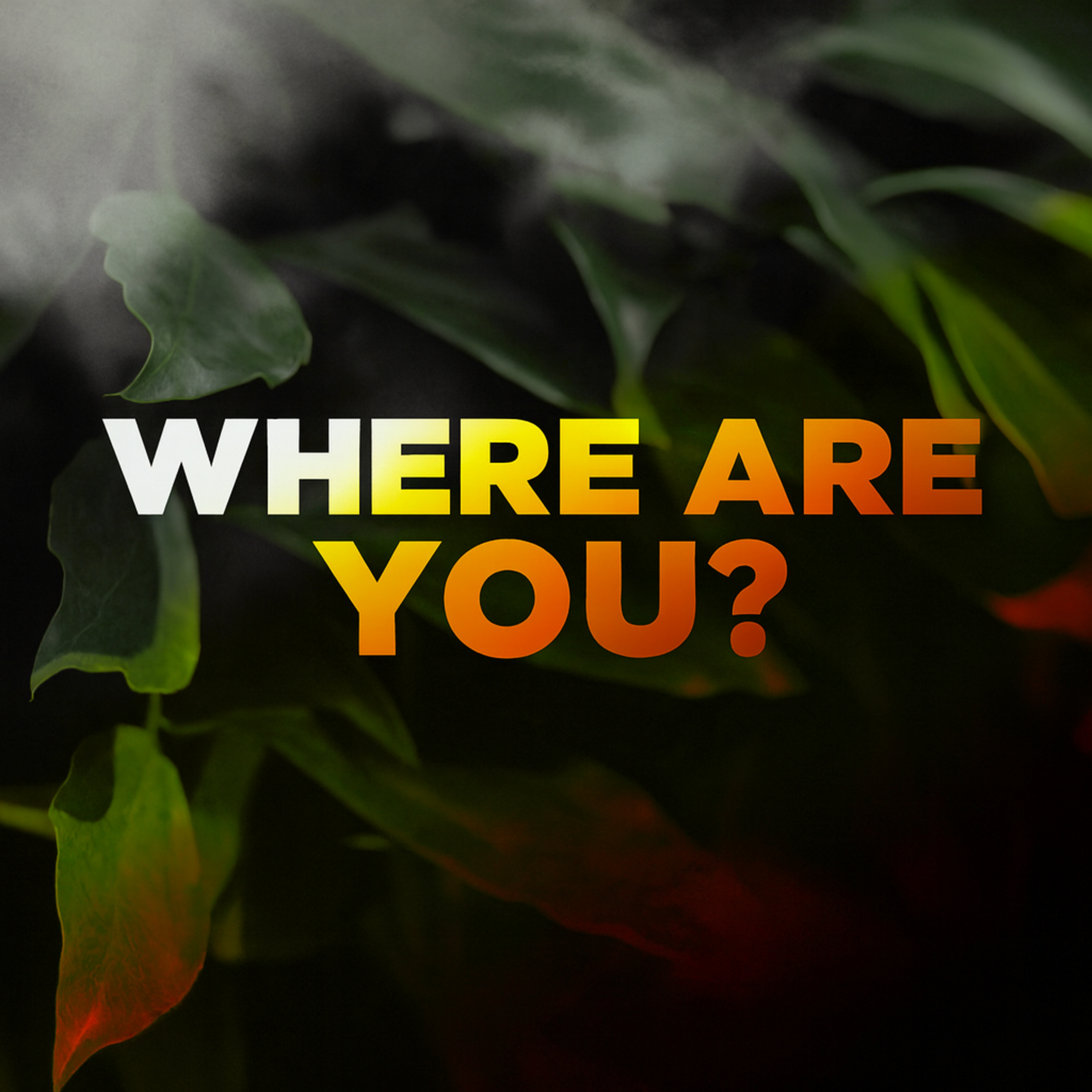 FAC Tallmadge Podcast