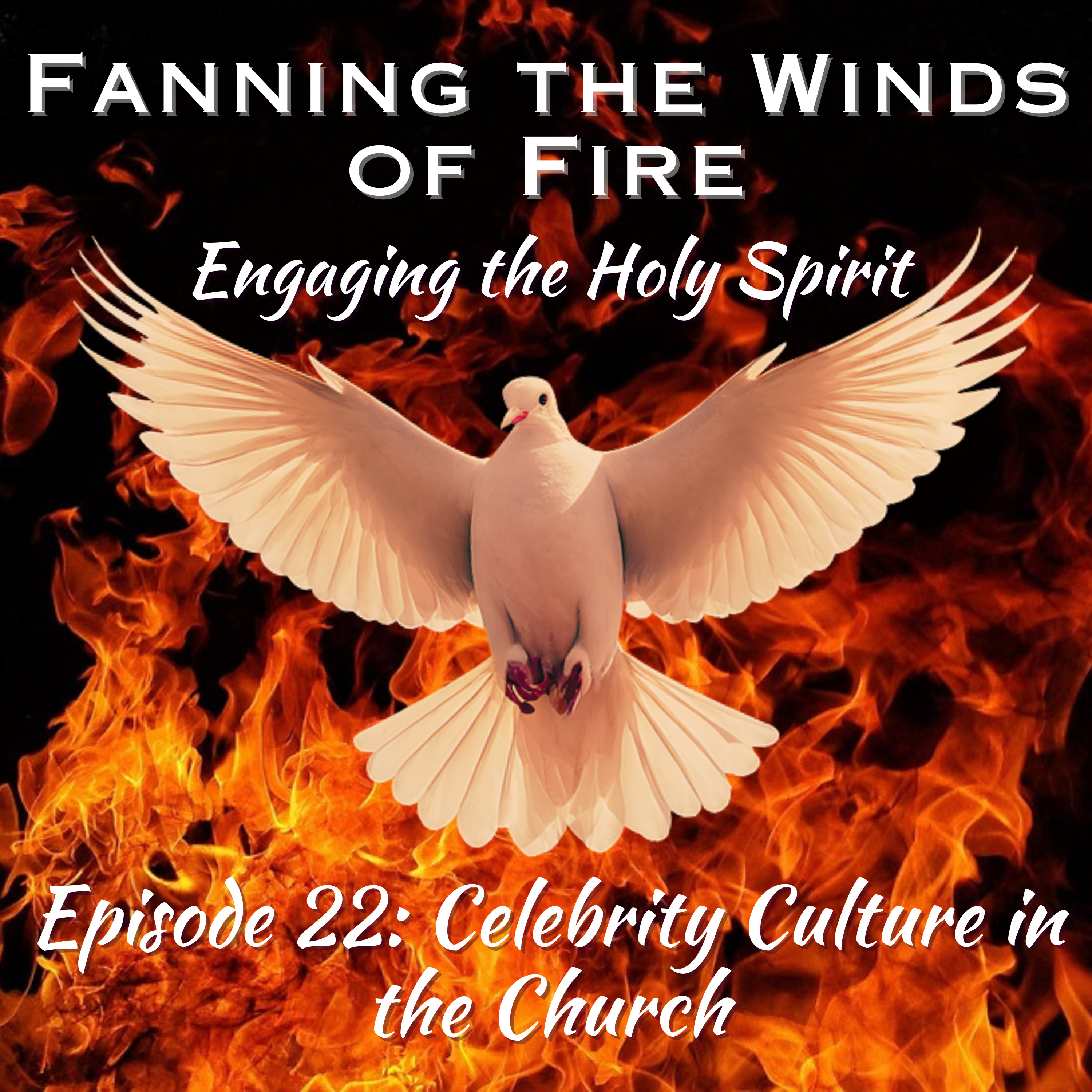 Fanning the Winds of Fire - 22 - Celebrity Culture in the Church episode artwork