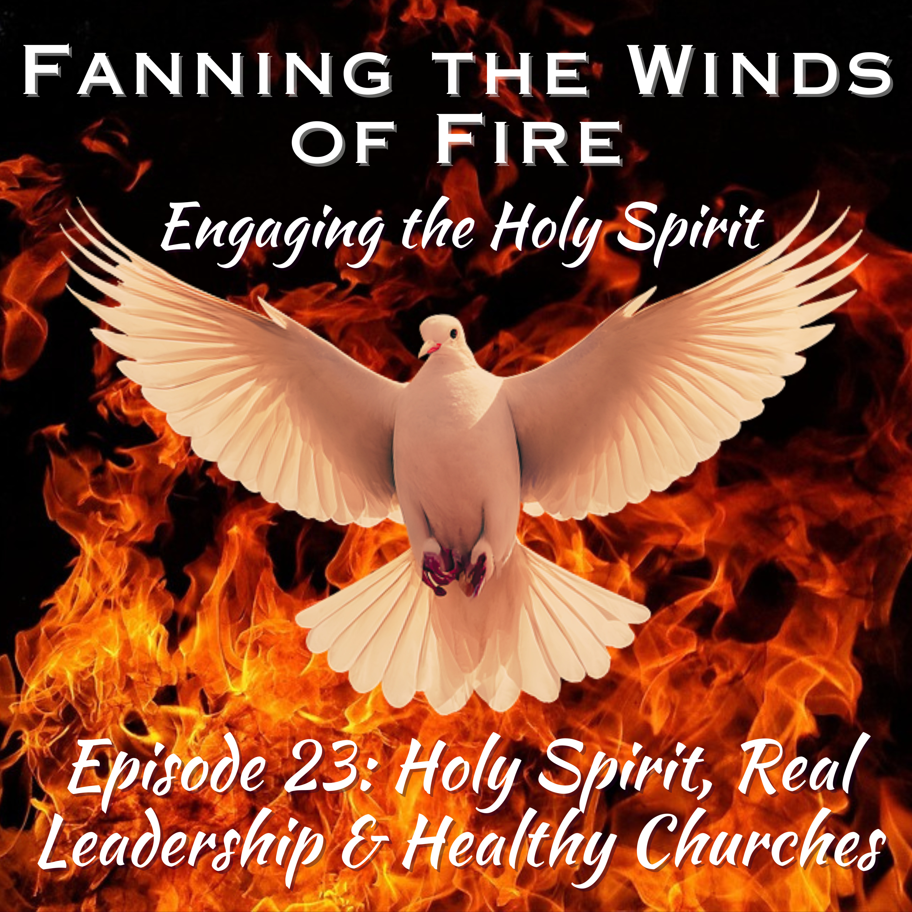 Fanning the Winds of Fire - 23 - Holy Spirit, Real Leadership & Healthy Churches episode artwork