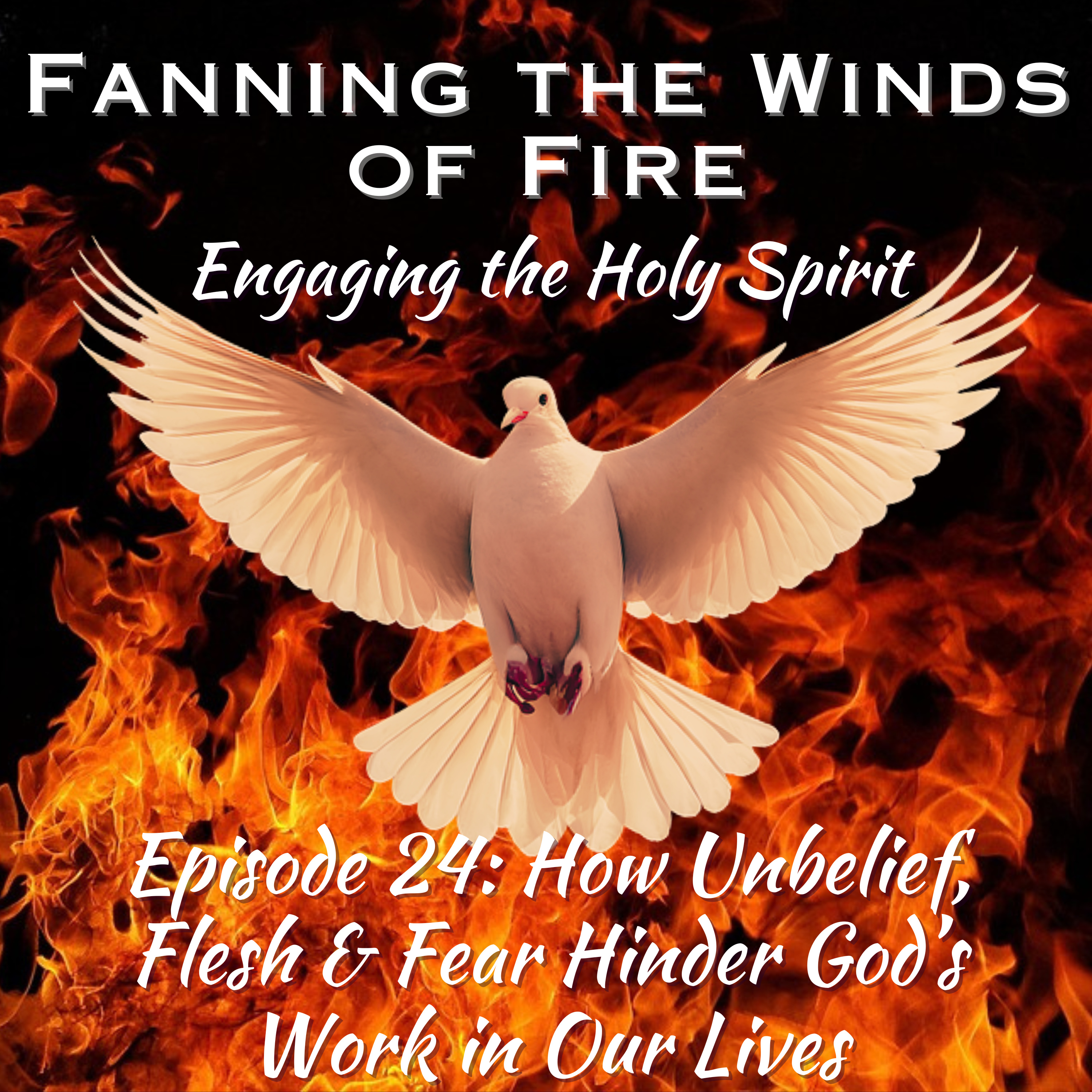 Fanning the Winds of Fire - 24 - How Unbelief, Flesh & Fear Hinder God’s Work in Our Lives episode artwork