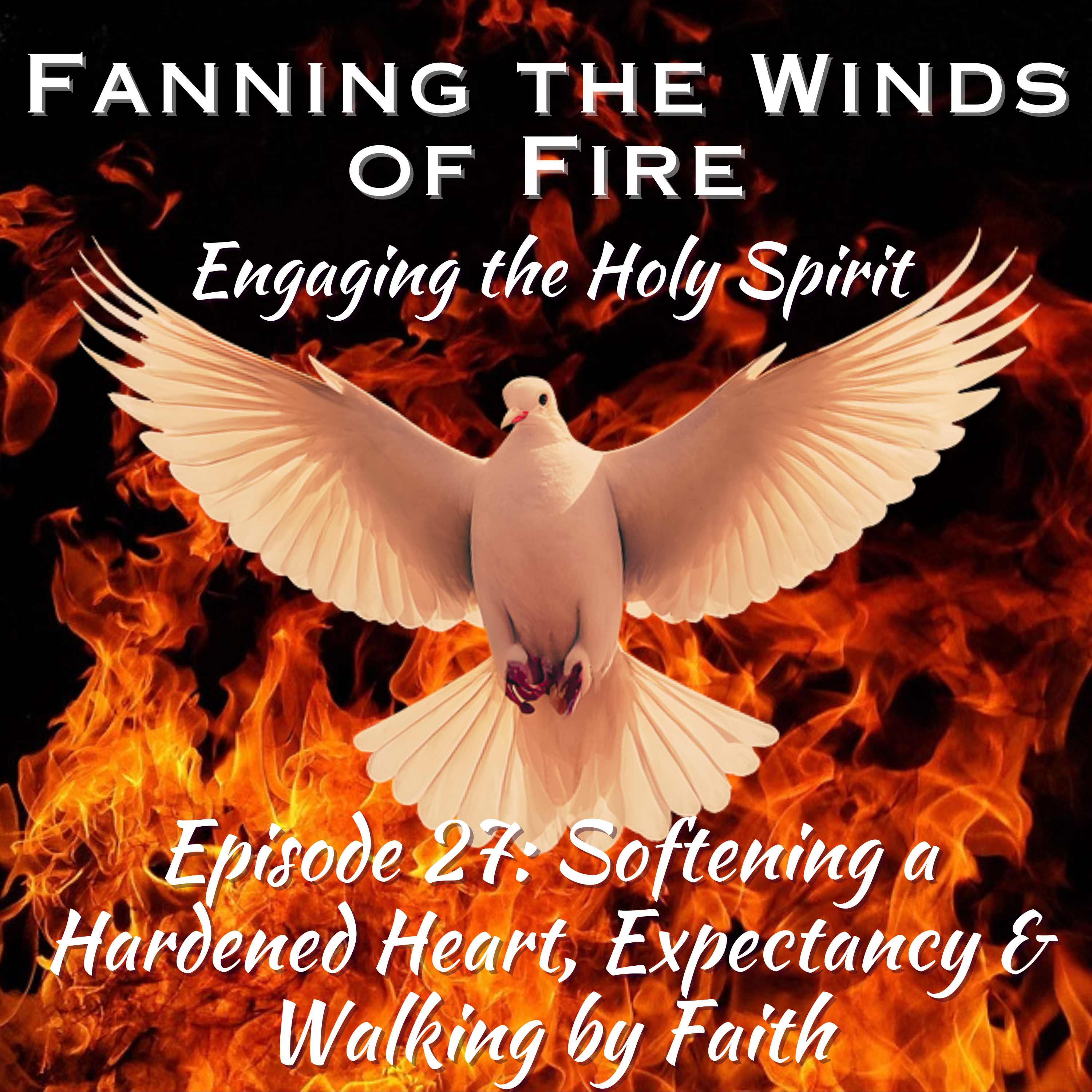 Fanning the Winds of Fire - 27 - Softening a Hardened Heart, Expectancy & Walking by Faith episode artwork