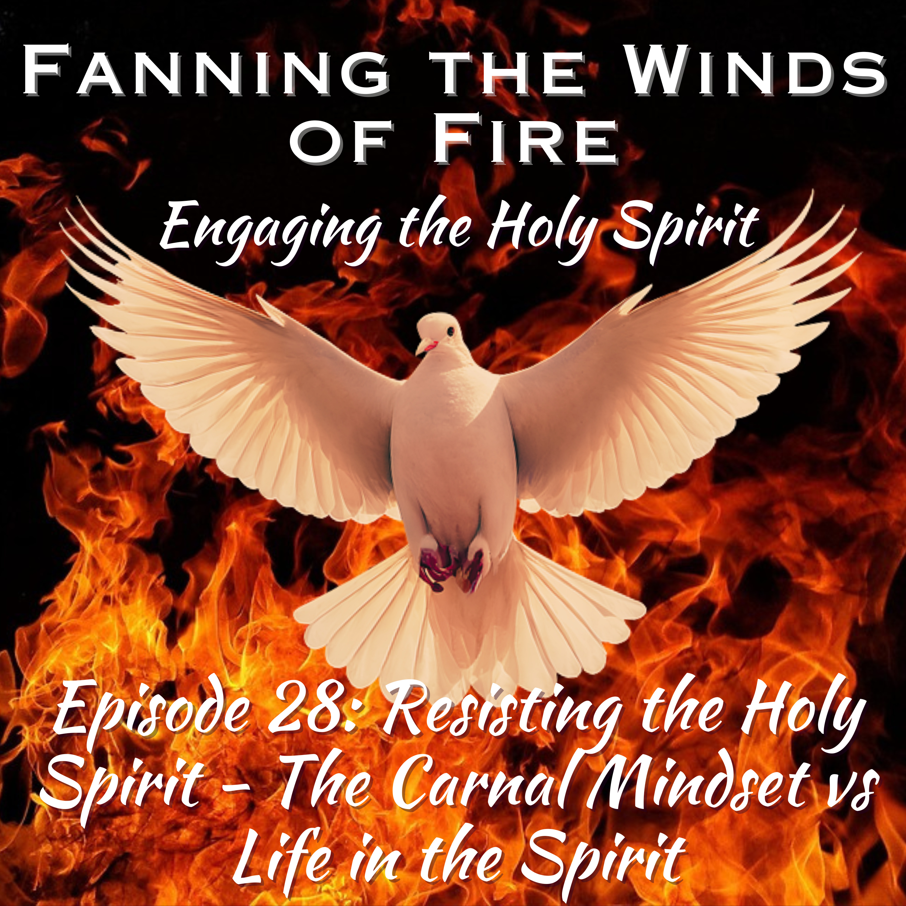 Fanning the Winds of Fire - 28 - Resisting the Holy Spirit: The Carnal Mindset vs. Life in the Spirit episode artwork