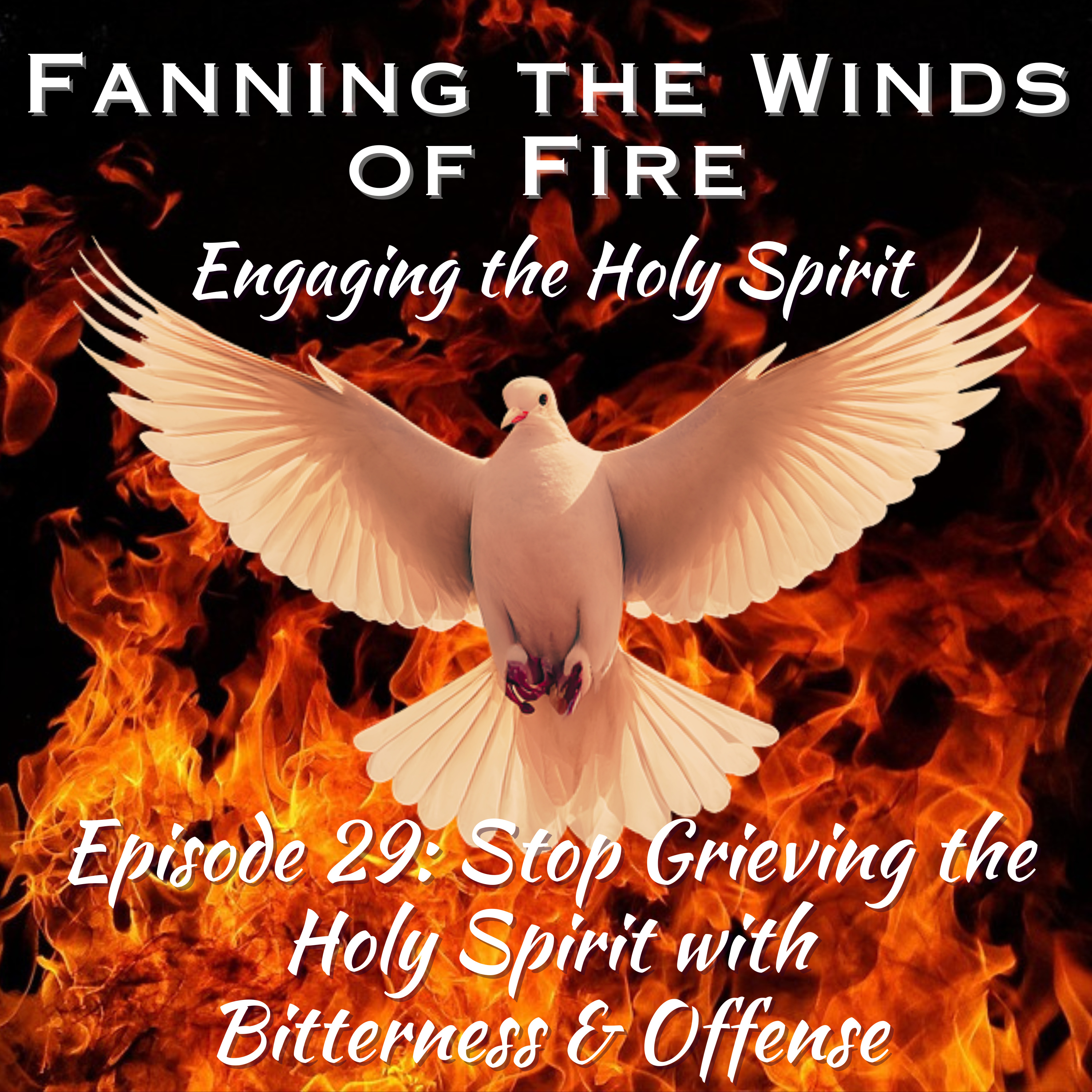 Fanning the Winds of Fire - 29 - How to Stop Grieving the Holy Spirit with Bitterness & Offense episode artwork