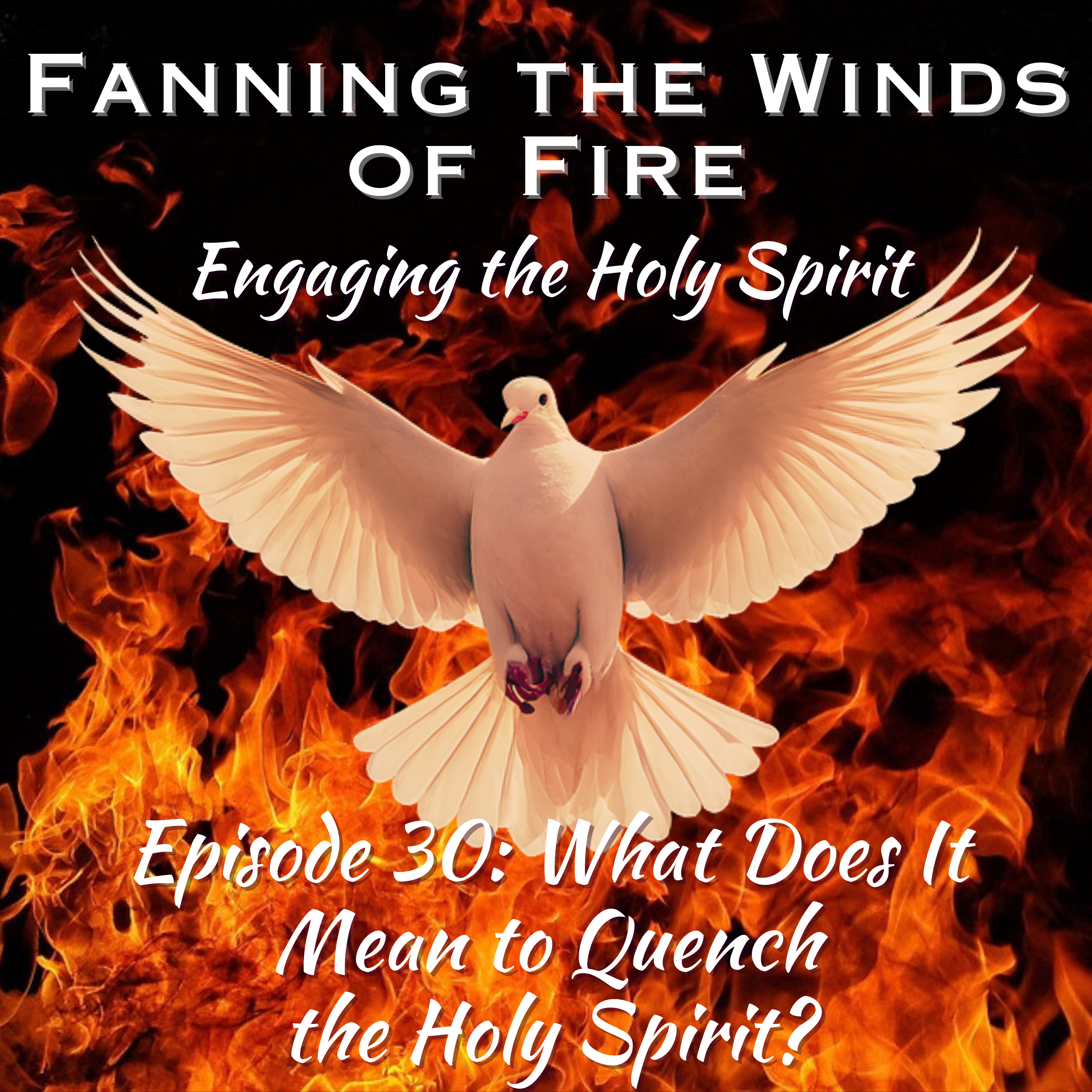 Fanning the Winds of Fire - 30 - What Does It Mean to Quench The Holy Spirit? episode artwork