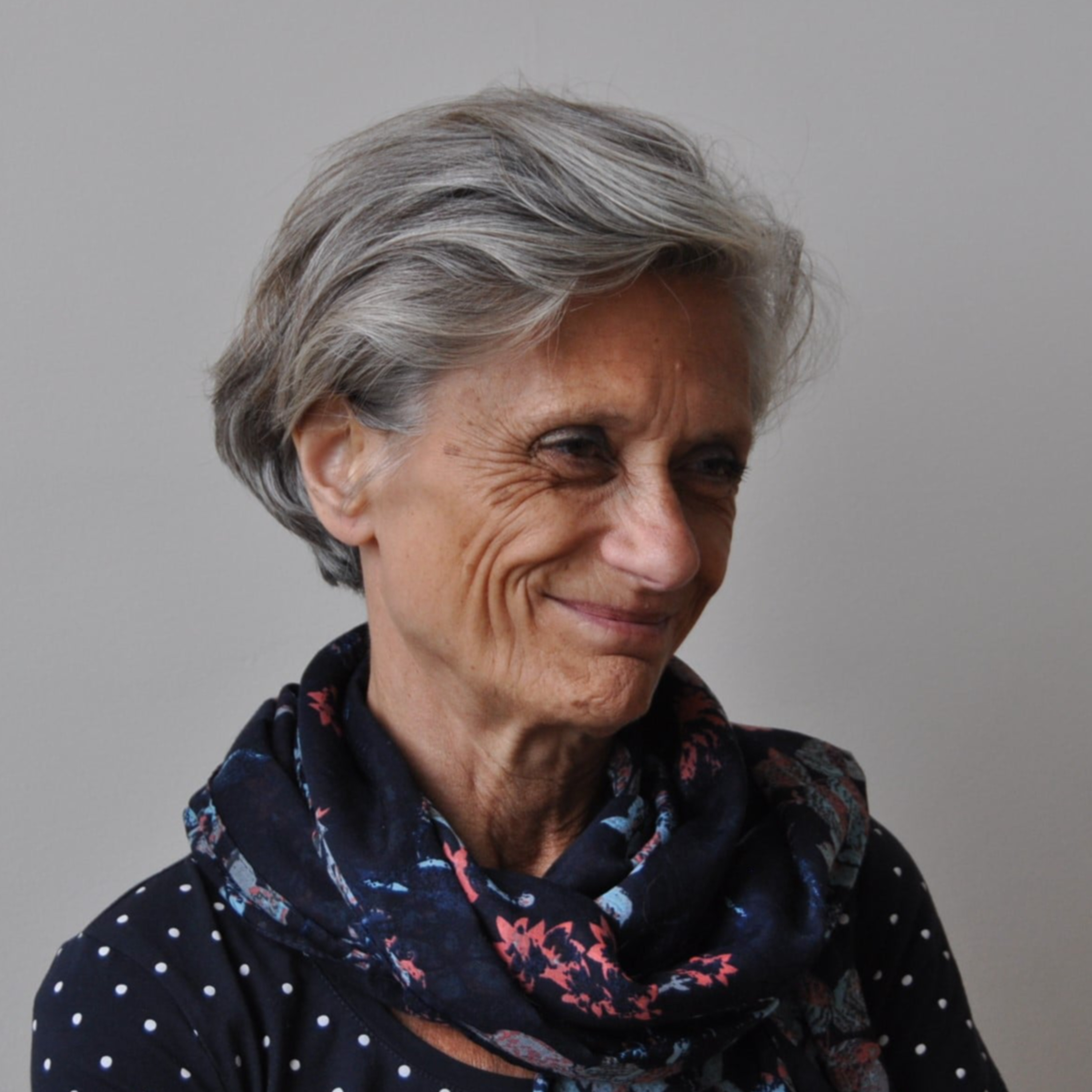 Entretien avec Brigitte Duzan - romans, nouvelles et cinéma chinois episode artwork