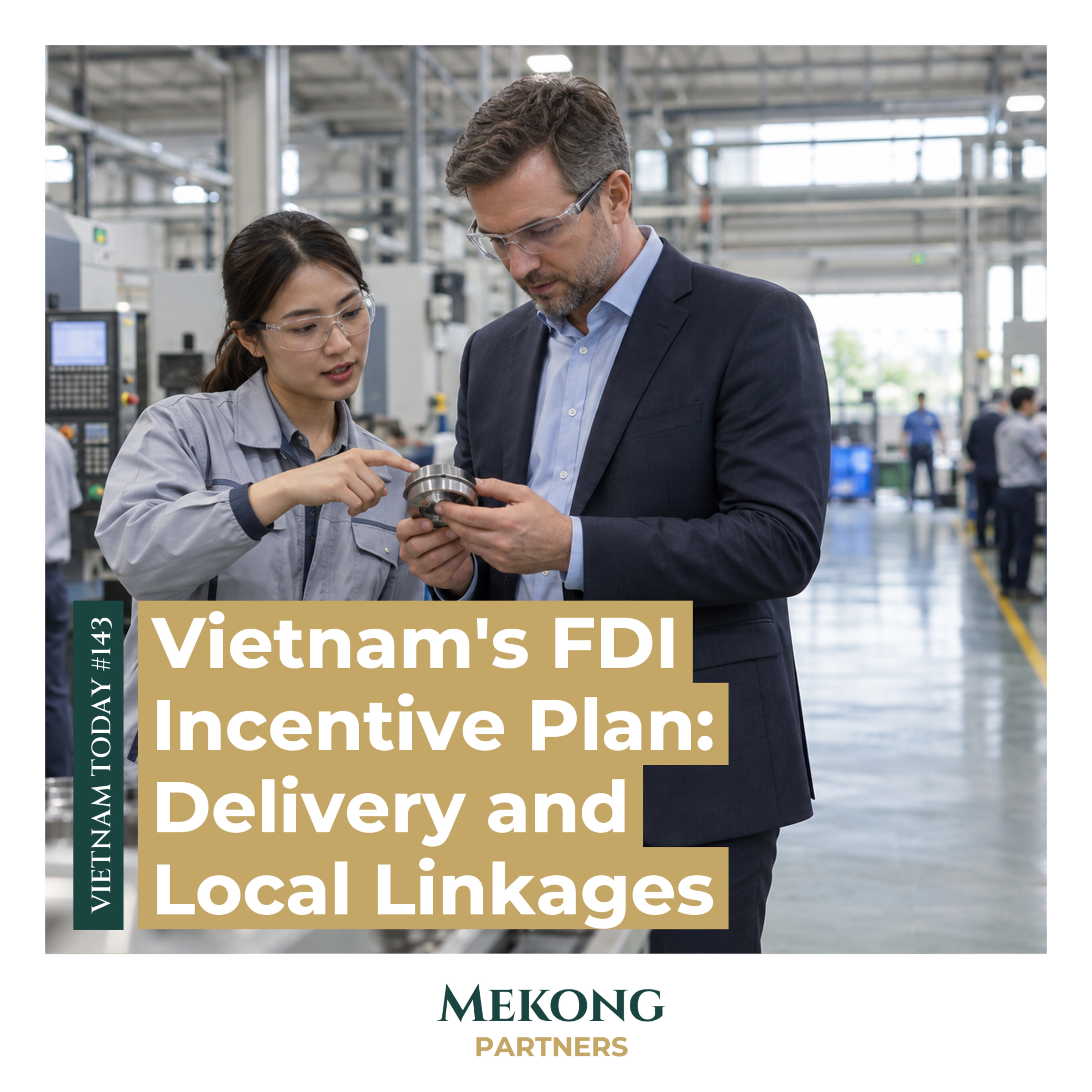 Vietnam's FDI Strategy: Incentives and Supplier Linkages, original episode cover