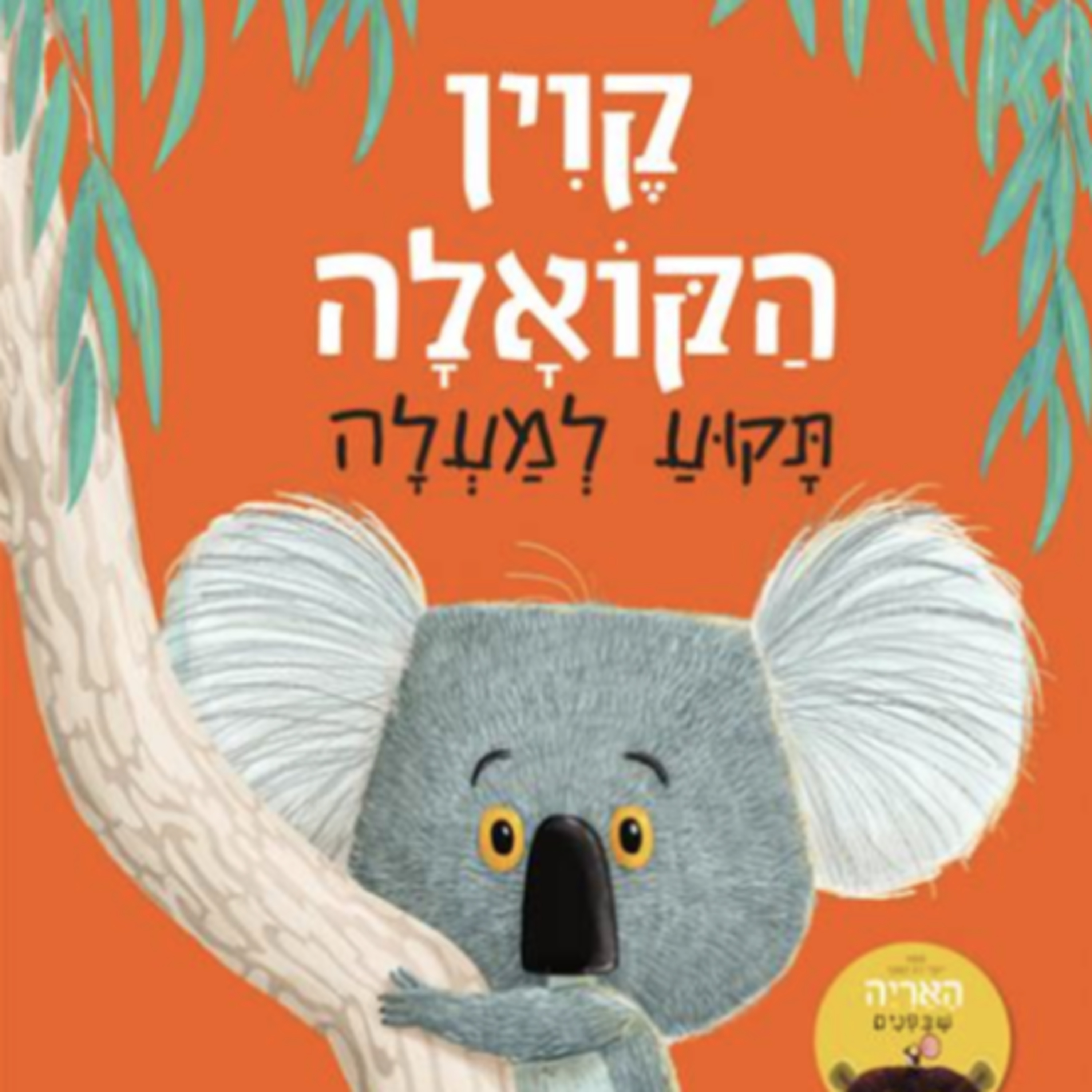 קוין הקואלה תקוע למעלה