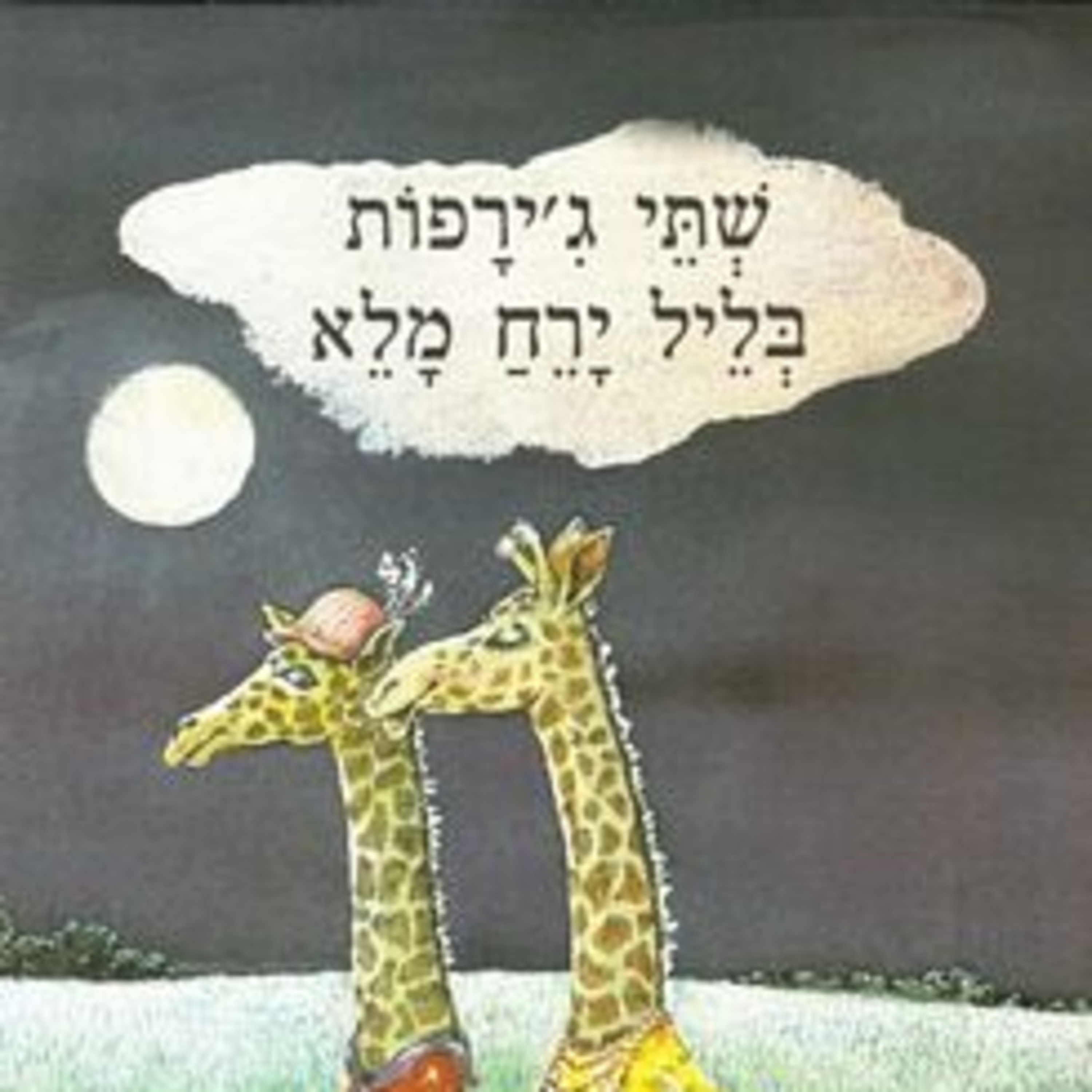 שתי ג'ירפות בליל ירח מלא