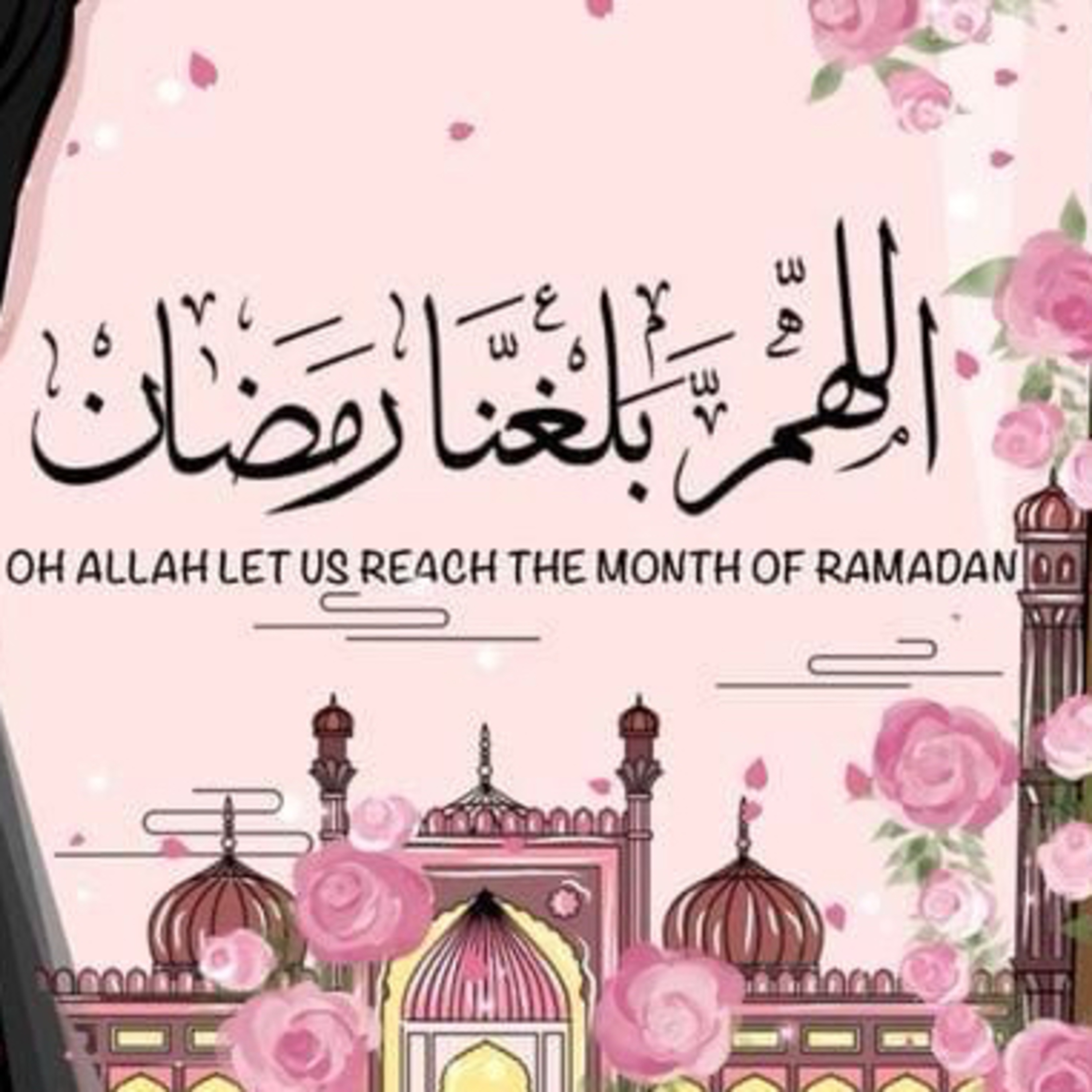 Sahabiyati Episode 58 The Beauty Of Islam w/ The Co-Host Fatou Of The Silent Path episode artwork