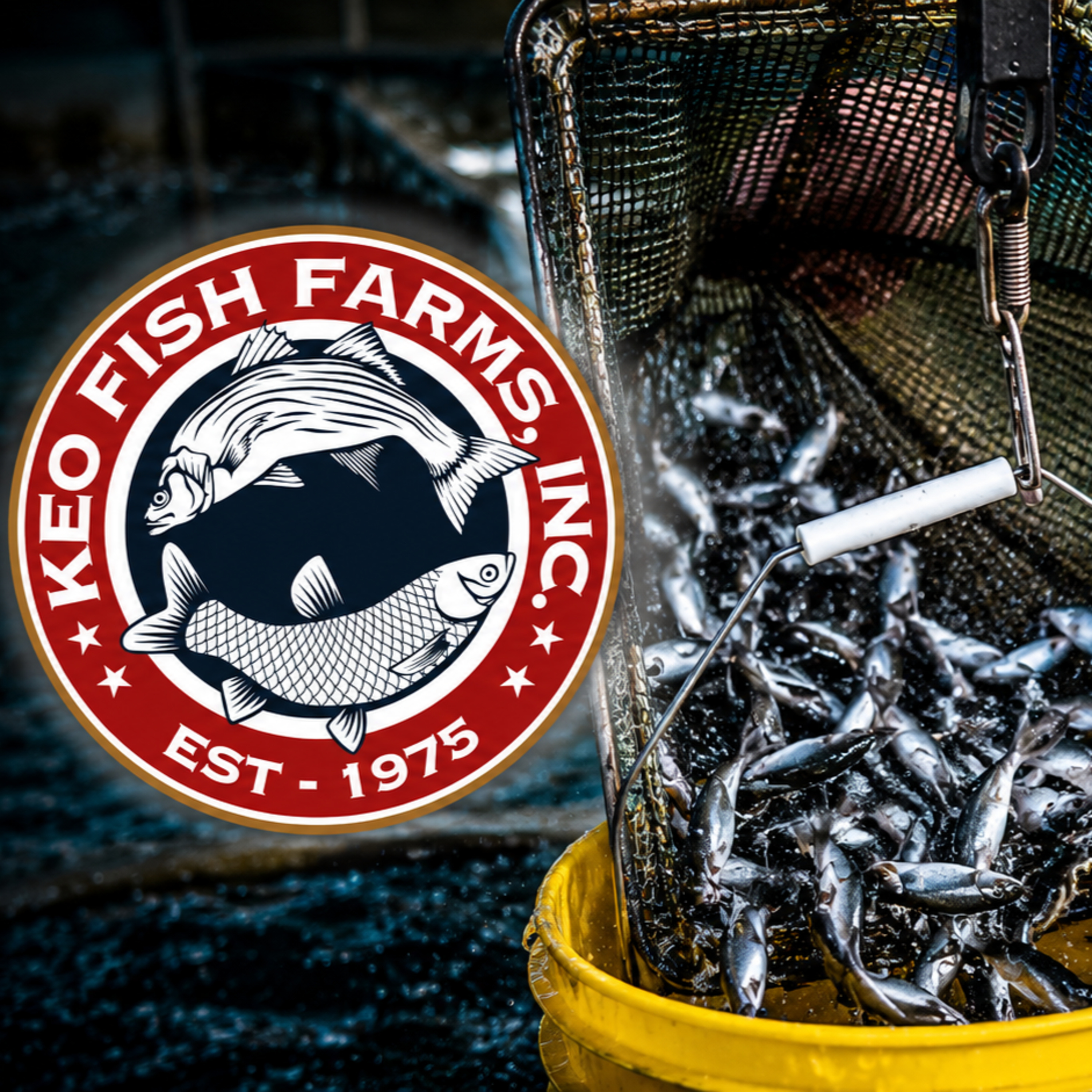 Episode 23: From Buying a Fish Farm to Building an Industry Leader | Mike Freeze | Keo Fish Farms episode artwork