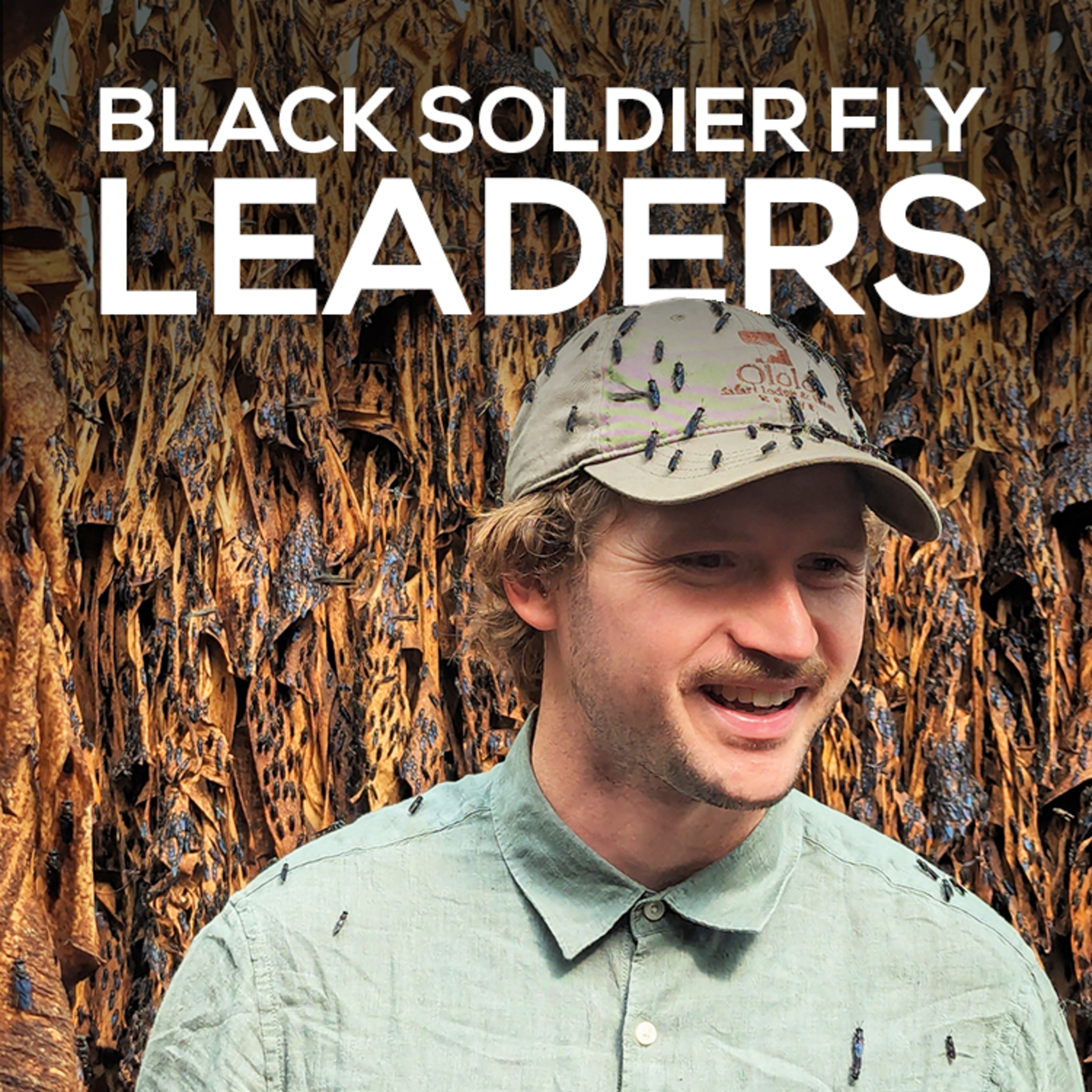 Black Soldier Fly Leaders
