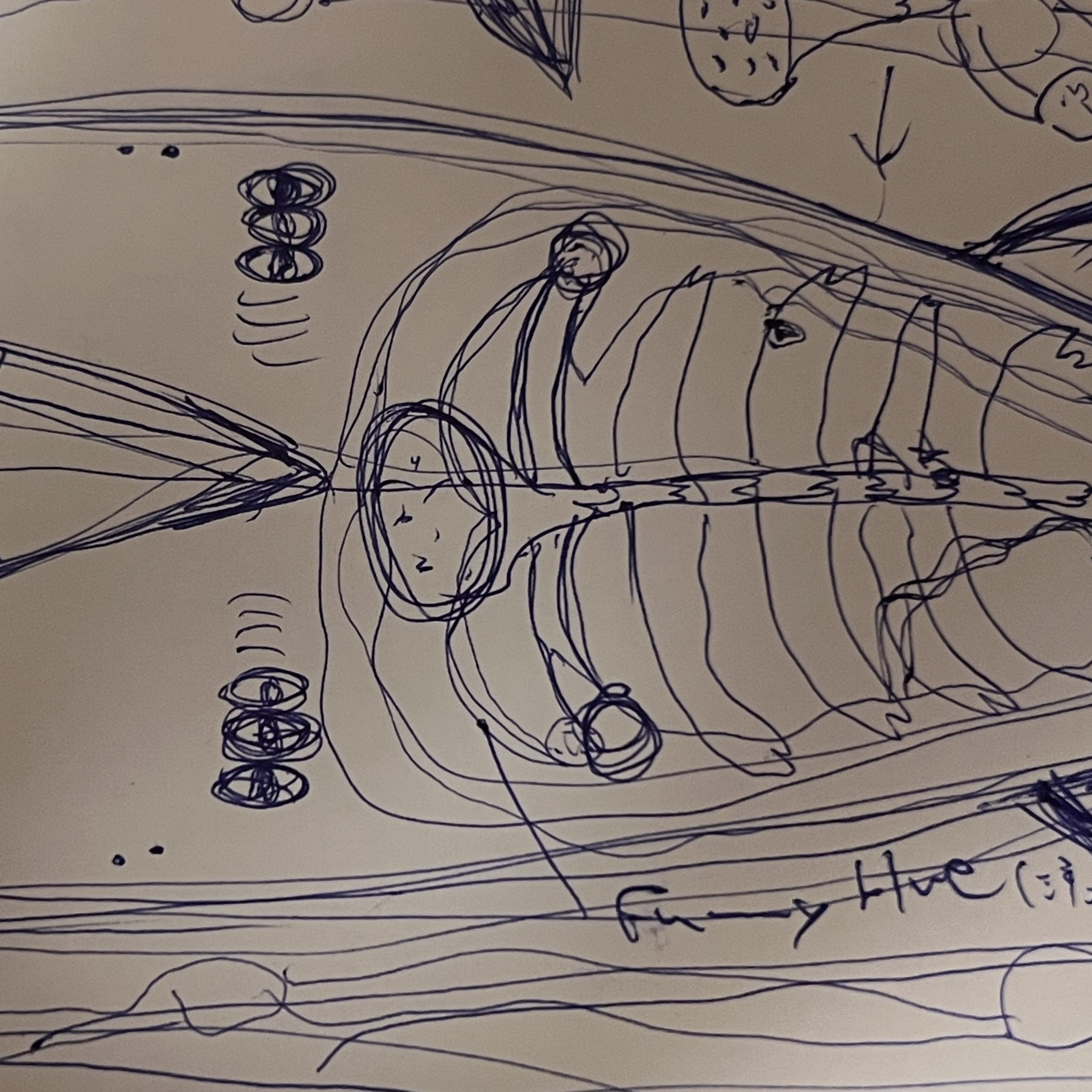 第33話「なぜ私は“見せない魚”を描いたのか — 神髄と3と6の宇宙」 episode artwork