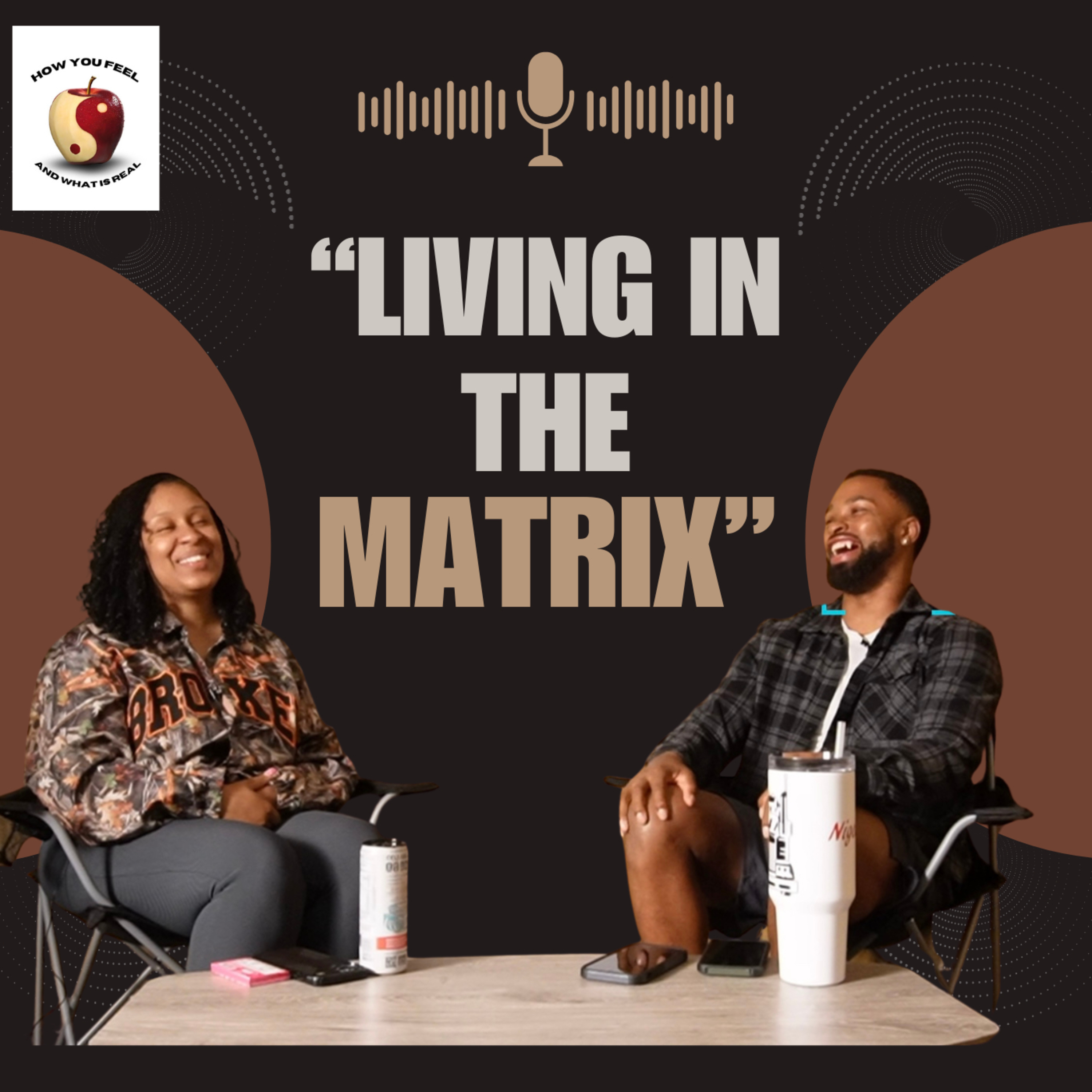 Living in the Matrix  episode artwork